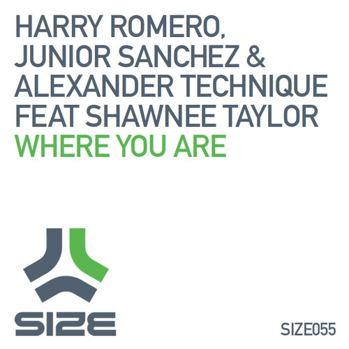 Where You Are feat. Shawnee Taylor - Steve Angello Edit
