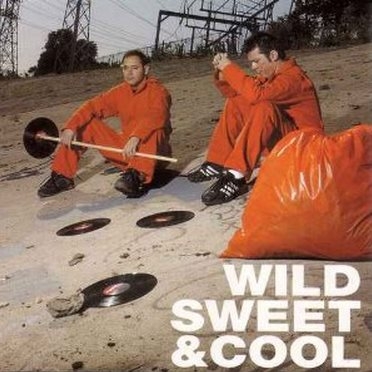Wild Sweet And Cool (Static Revenger Mix)