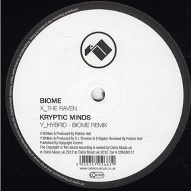 The Raven / Hybrid (Biome Remix)