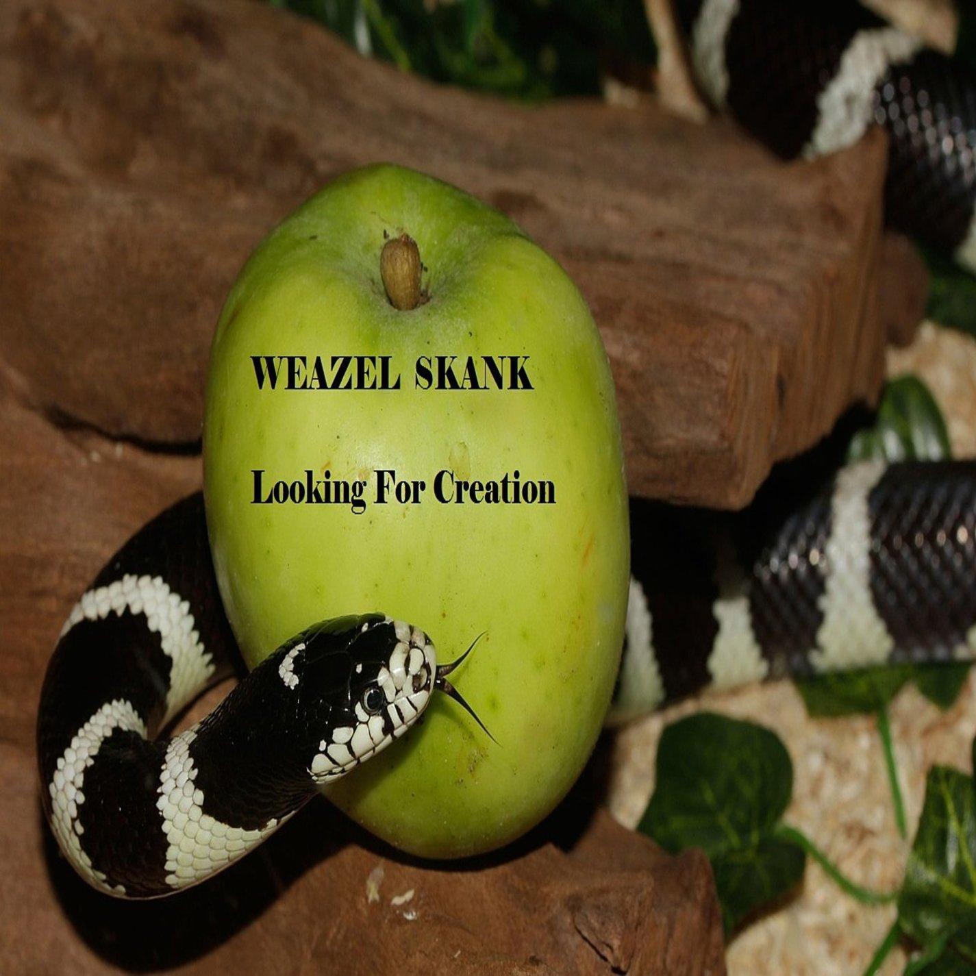 Looking For Creation
