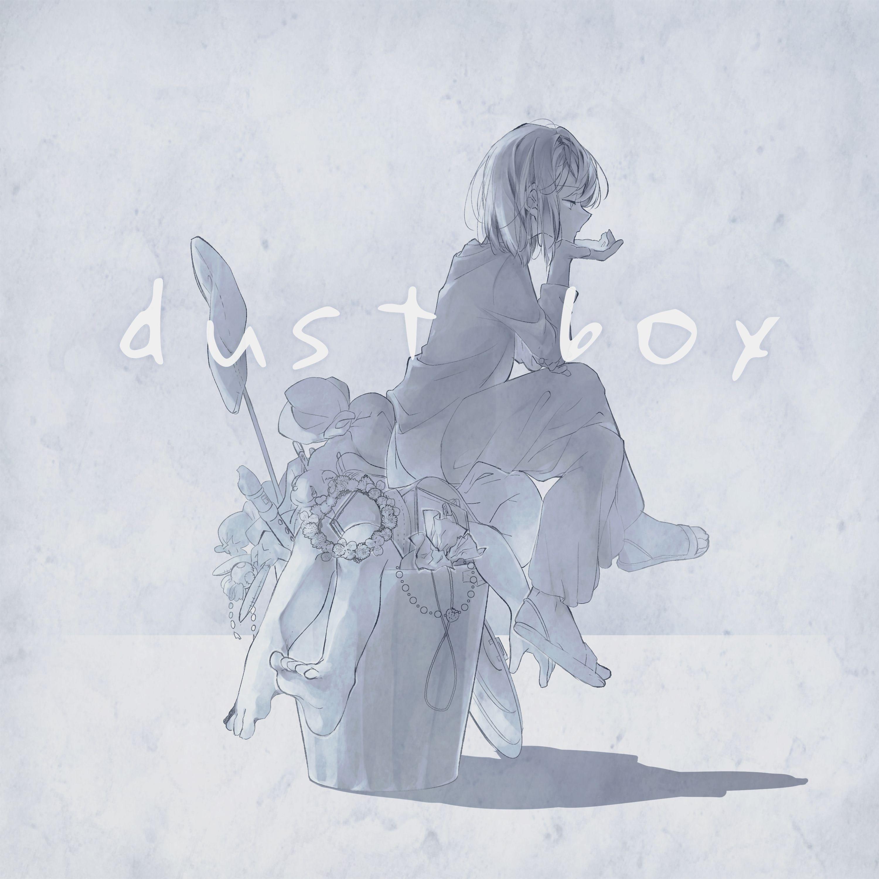 dust box