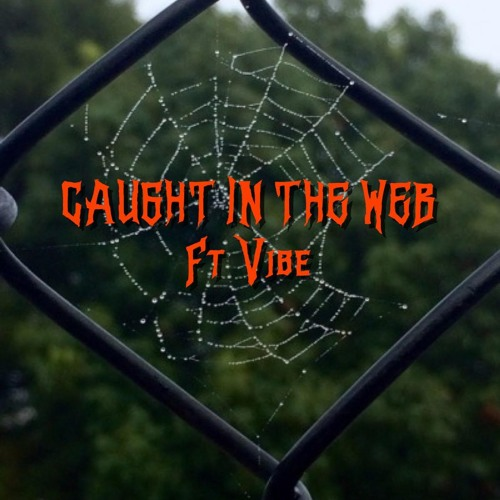 Caught In The Web