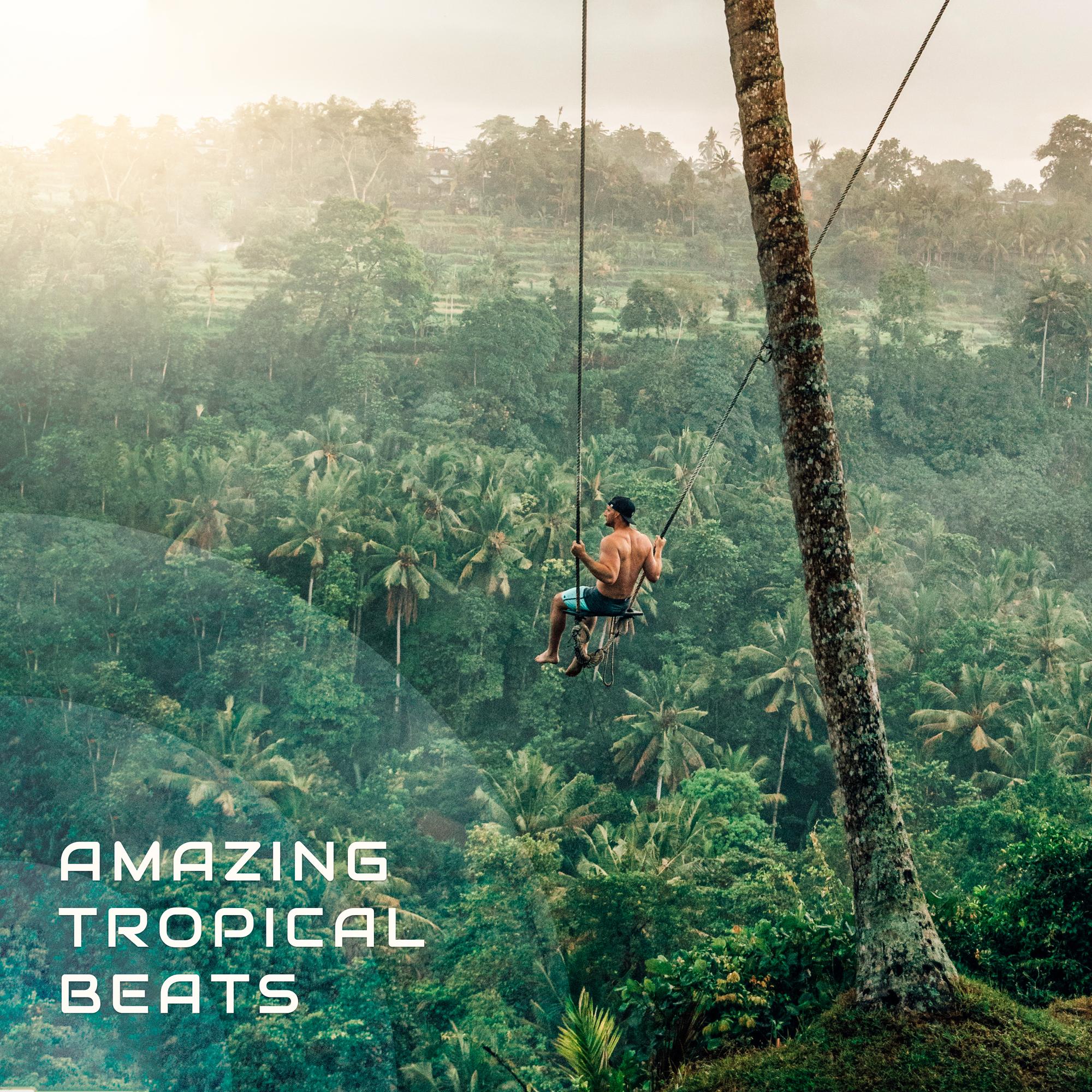 Amazing Tropical Beats
