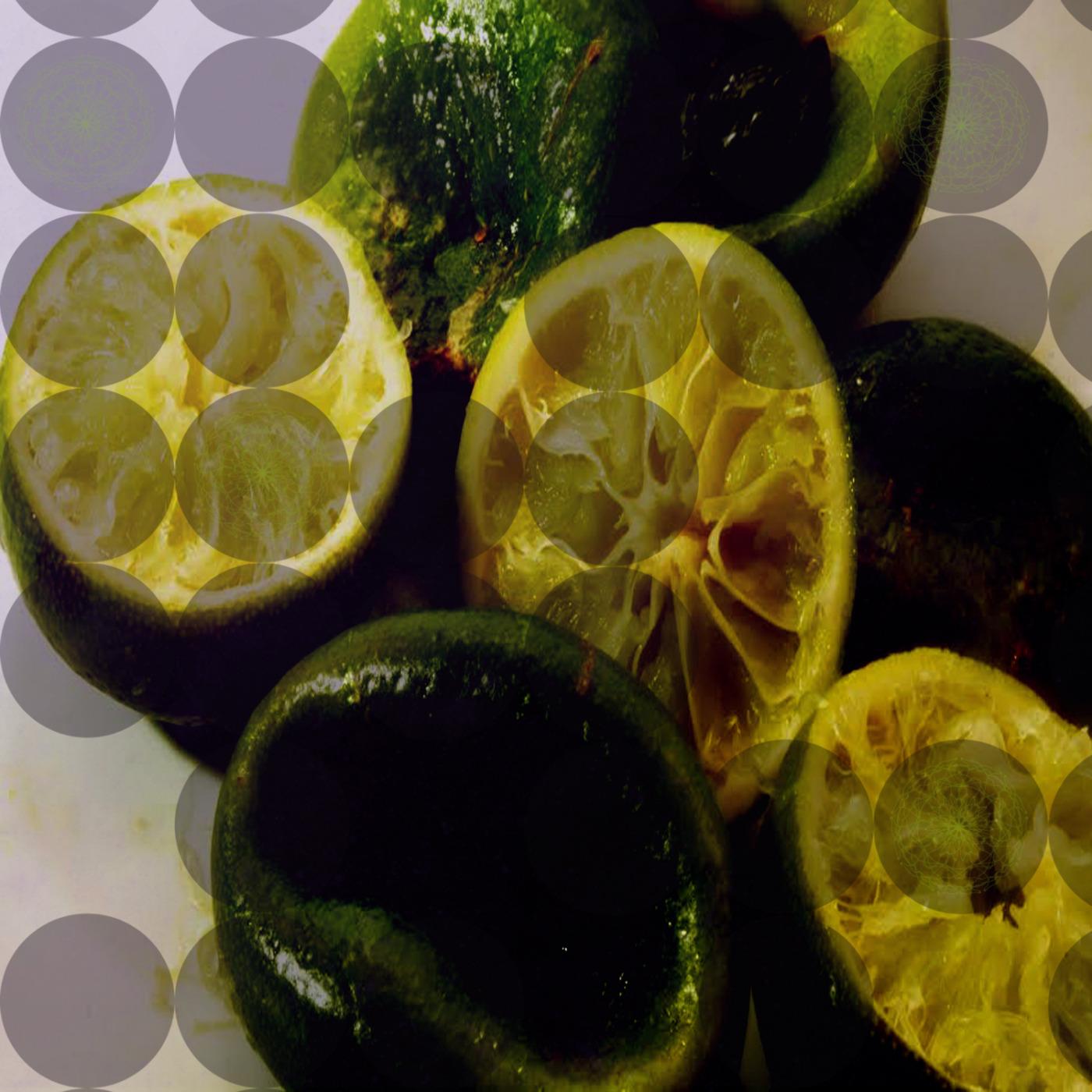 Tambourice