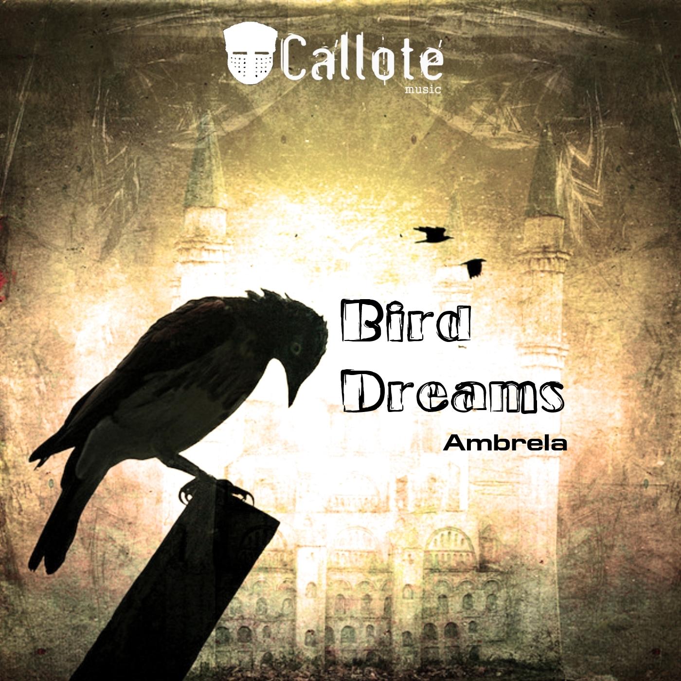 Bird Dreams