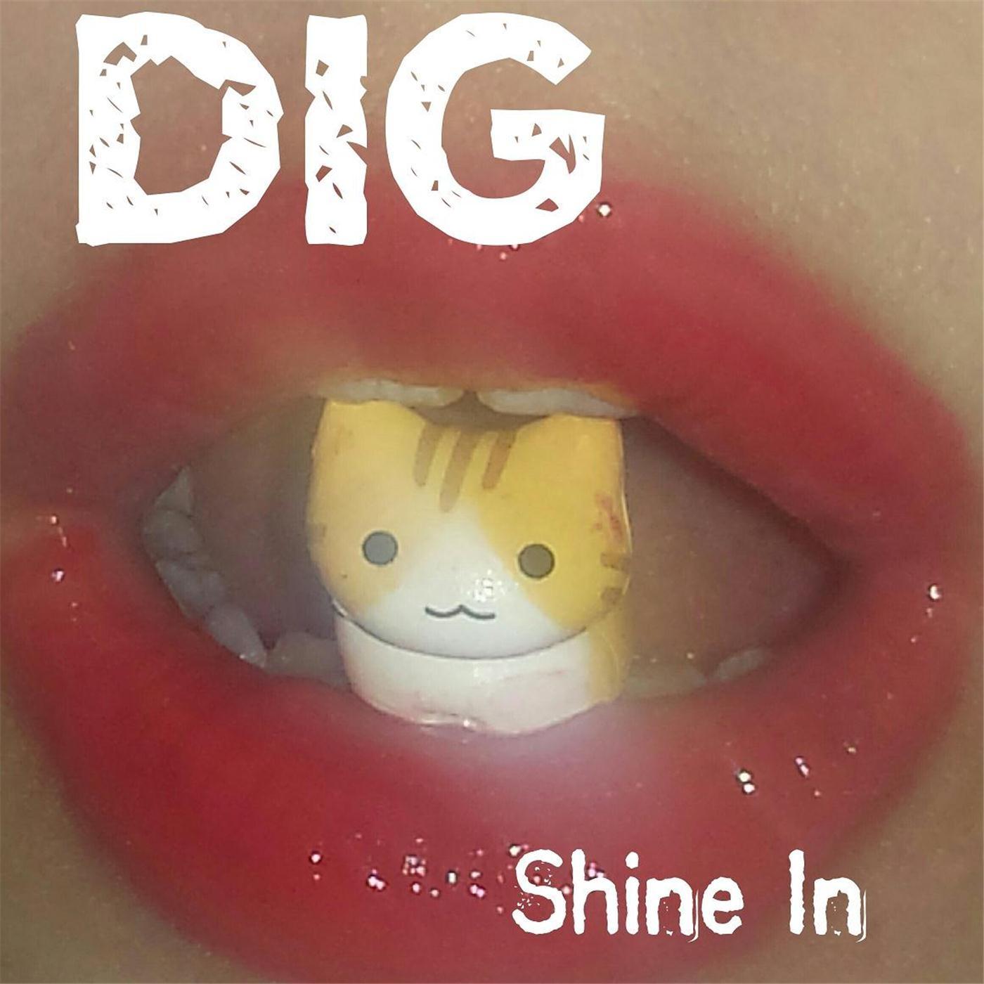 Shine In