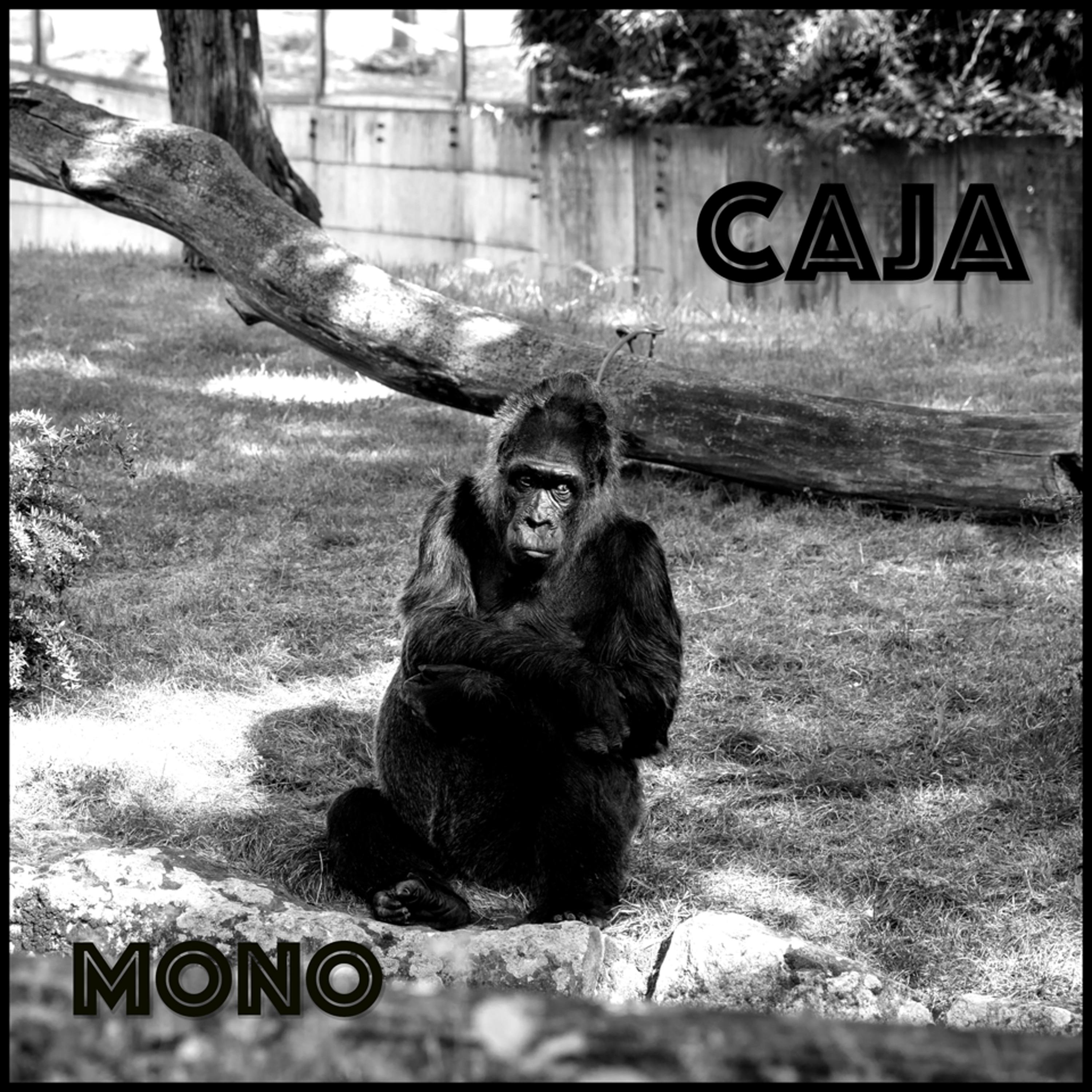 Caja