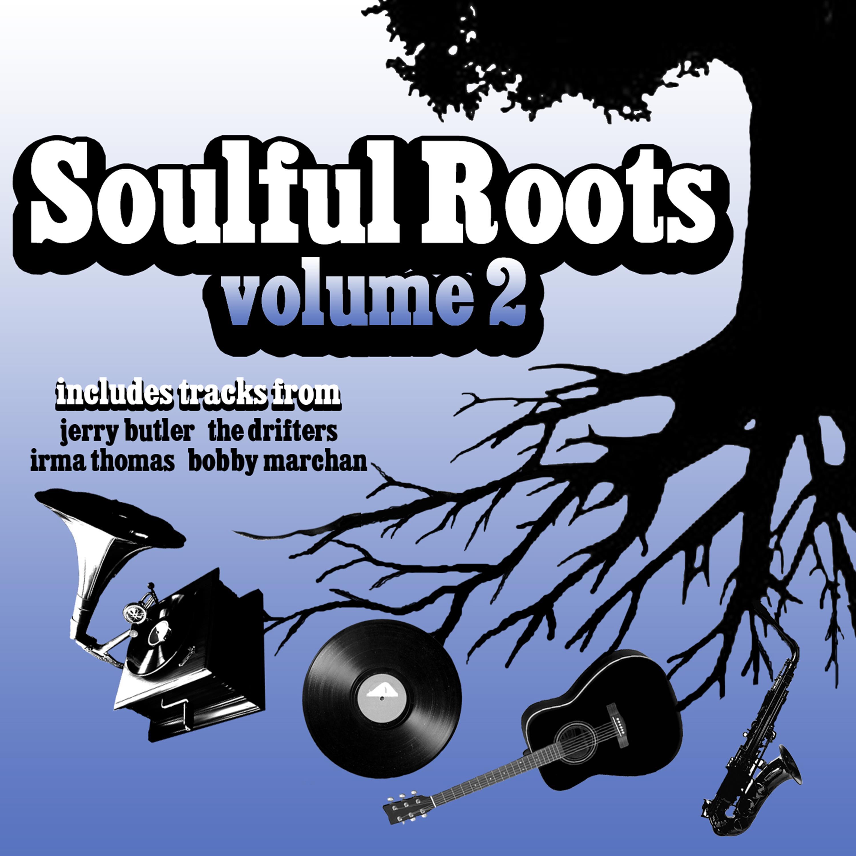Soulful Roots, Vol. 2