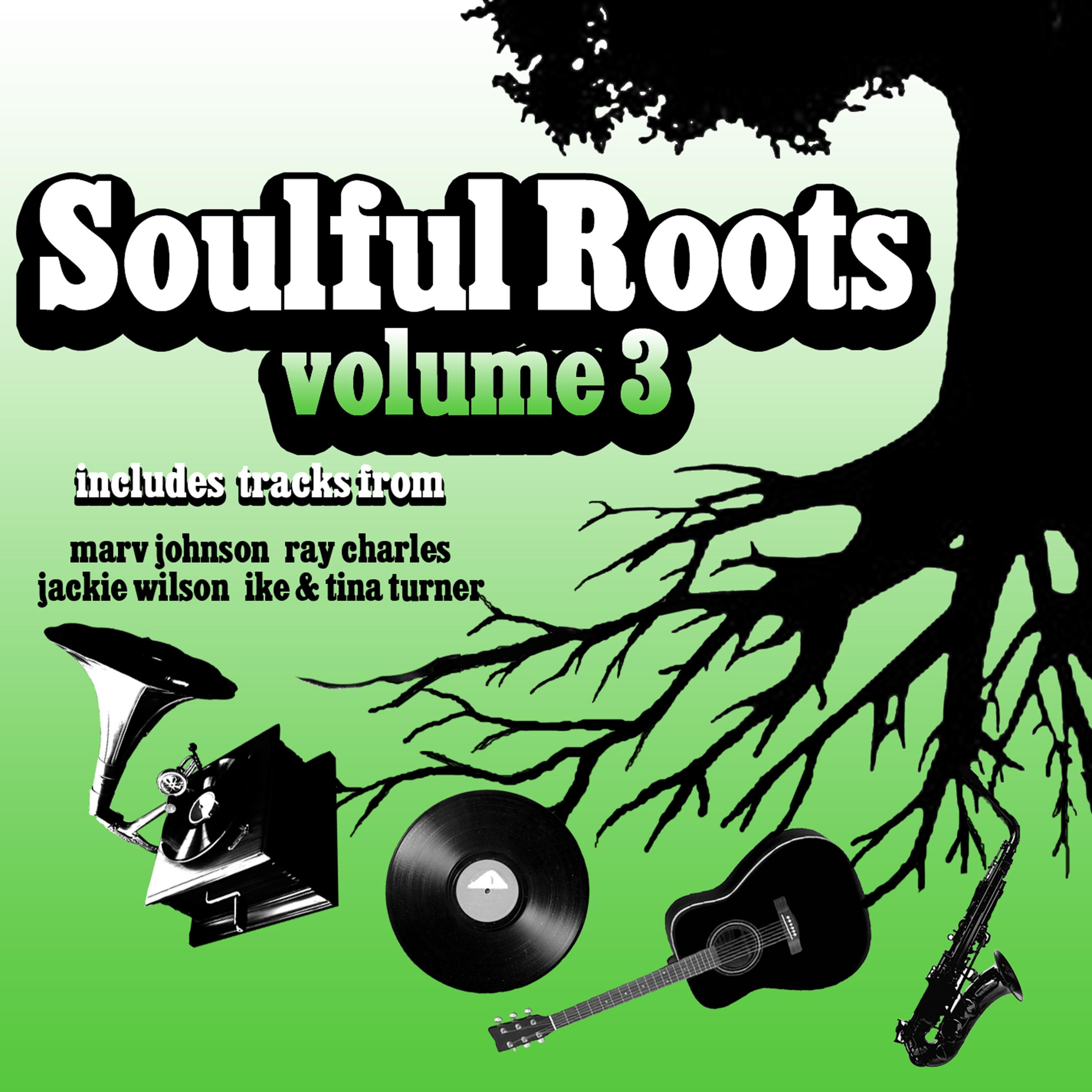 Soulful Roots, Vol. 3
