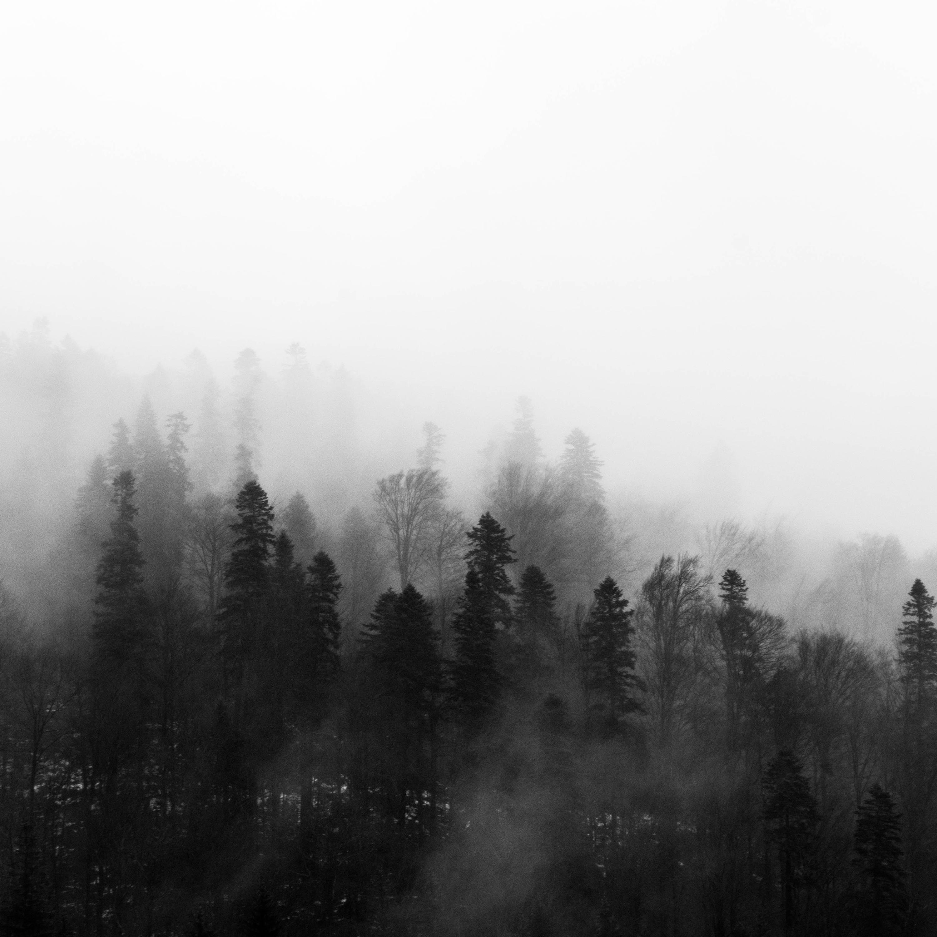 Ambient Lullabies