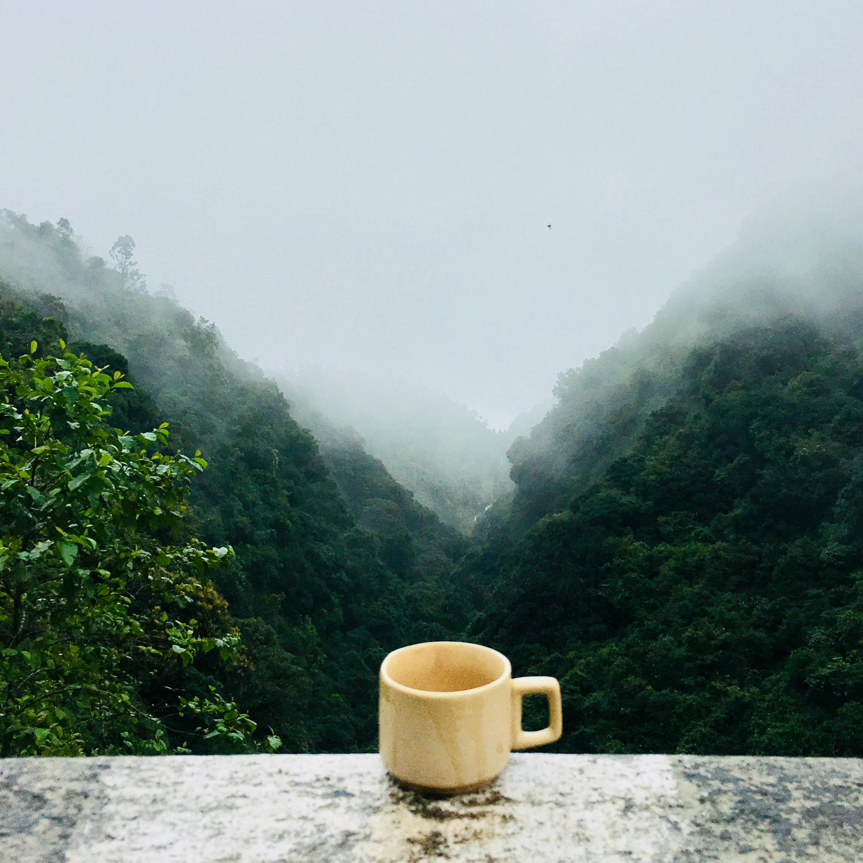 A Calm Day