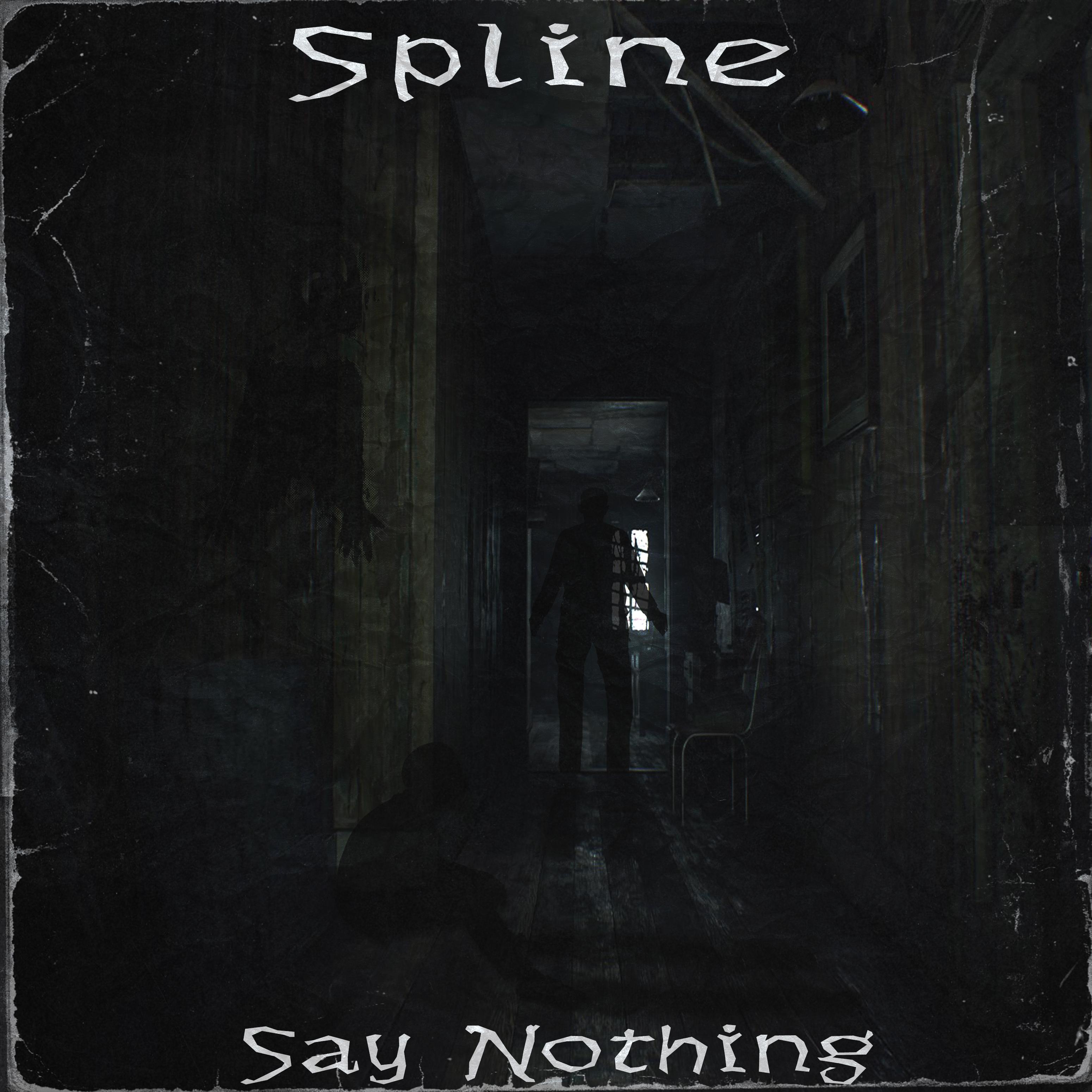 Say Nothing