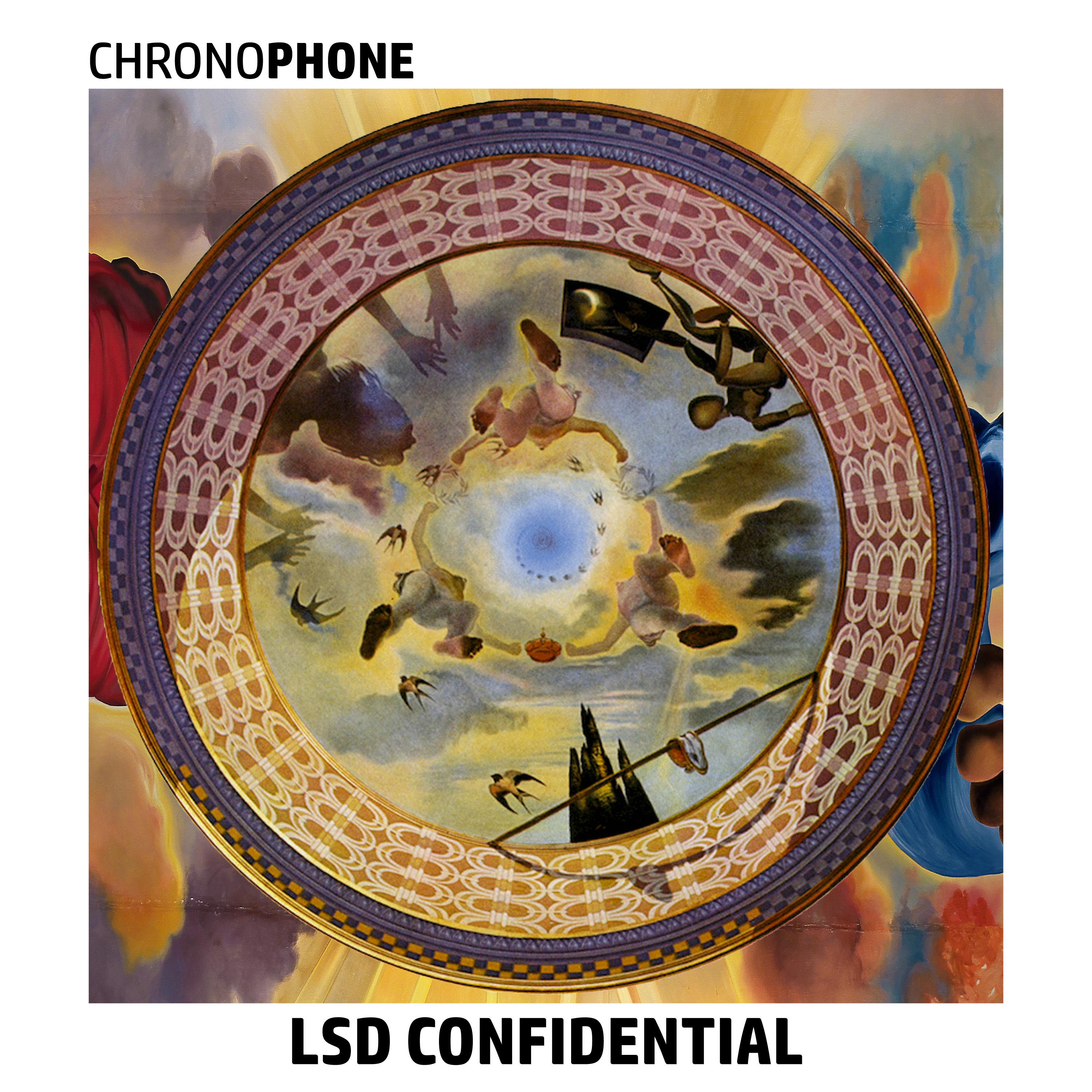 LSD Introspection