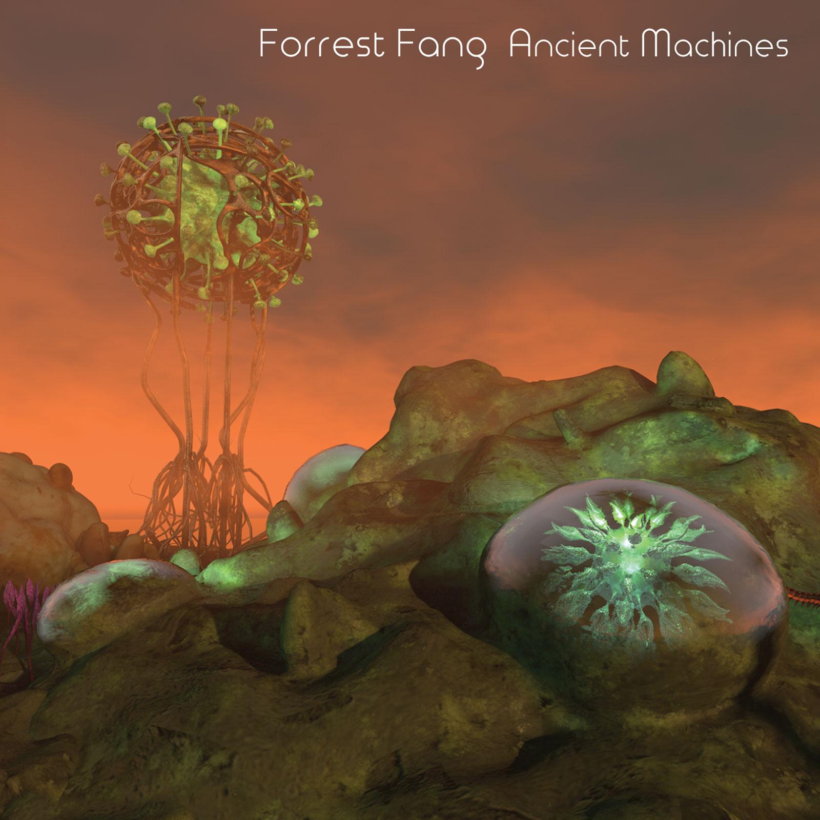 Firefly Run