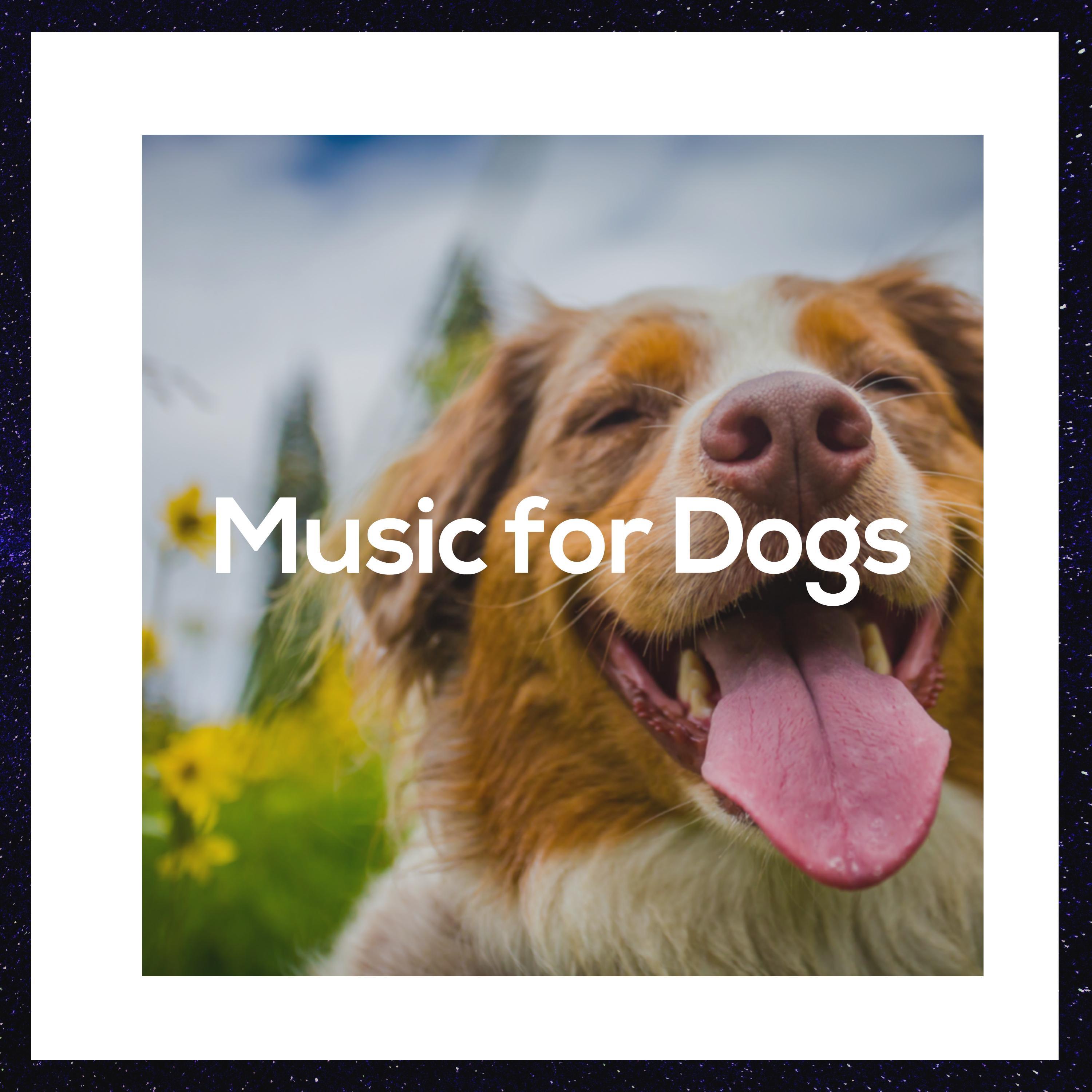 Soothing Music for Dogs