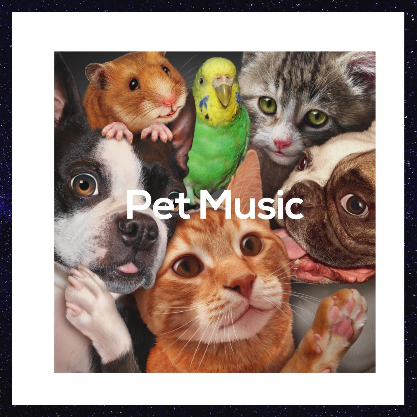 Song Dogs