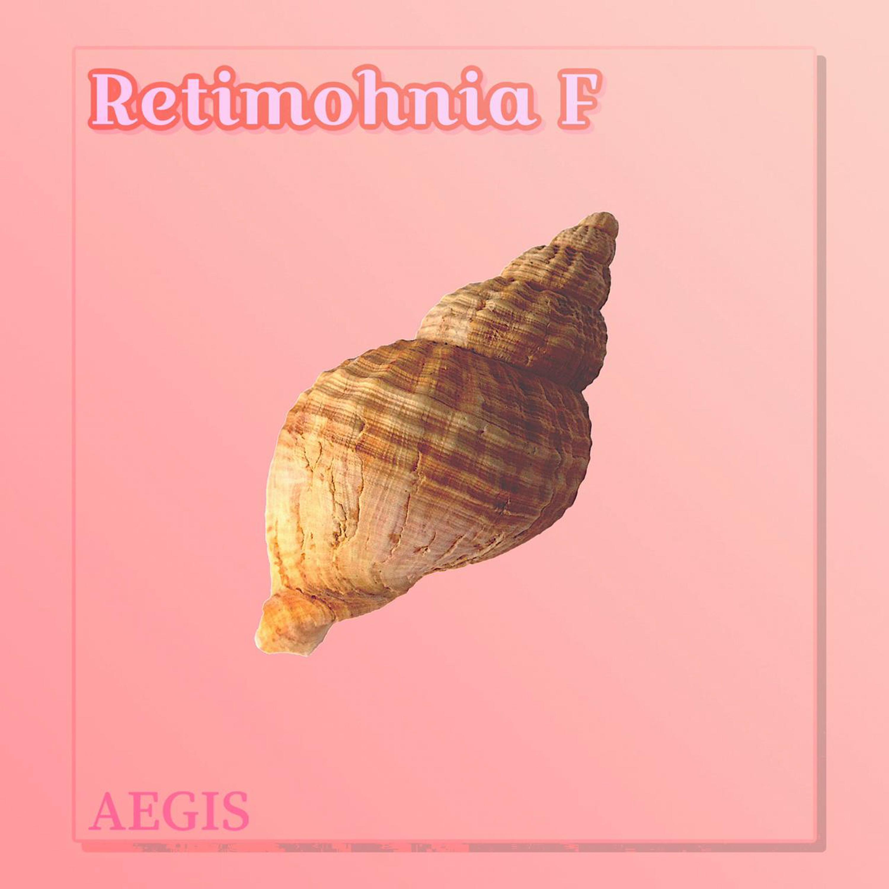 Retimohnia F