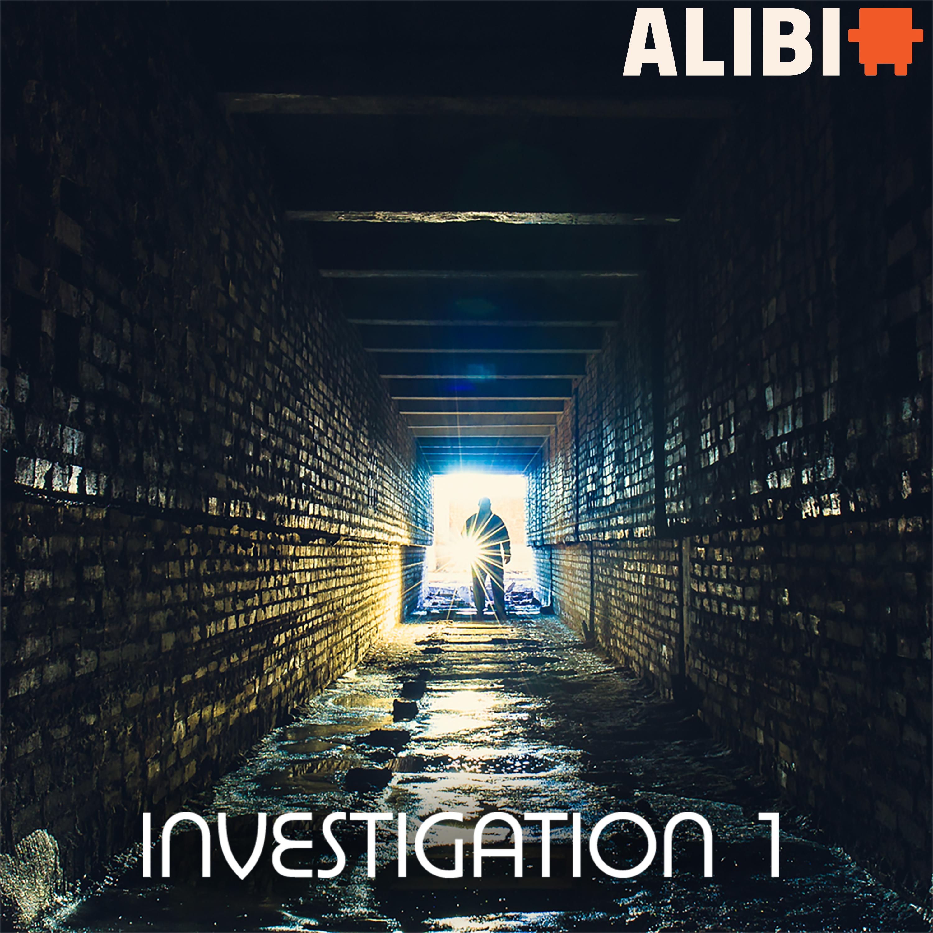 Investigation, Vol. 1