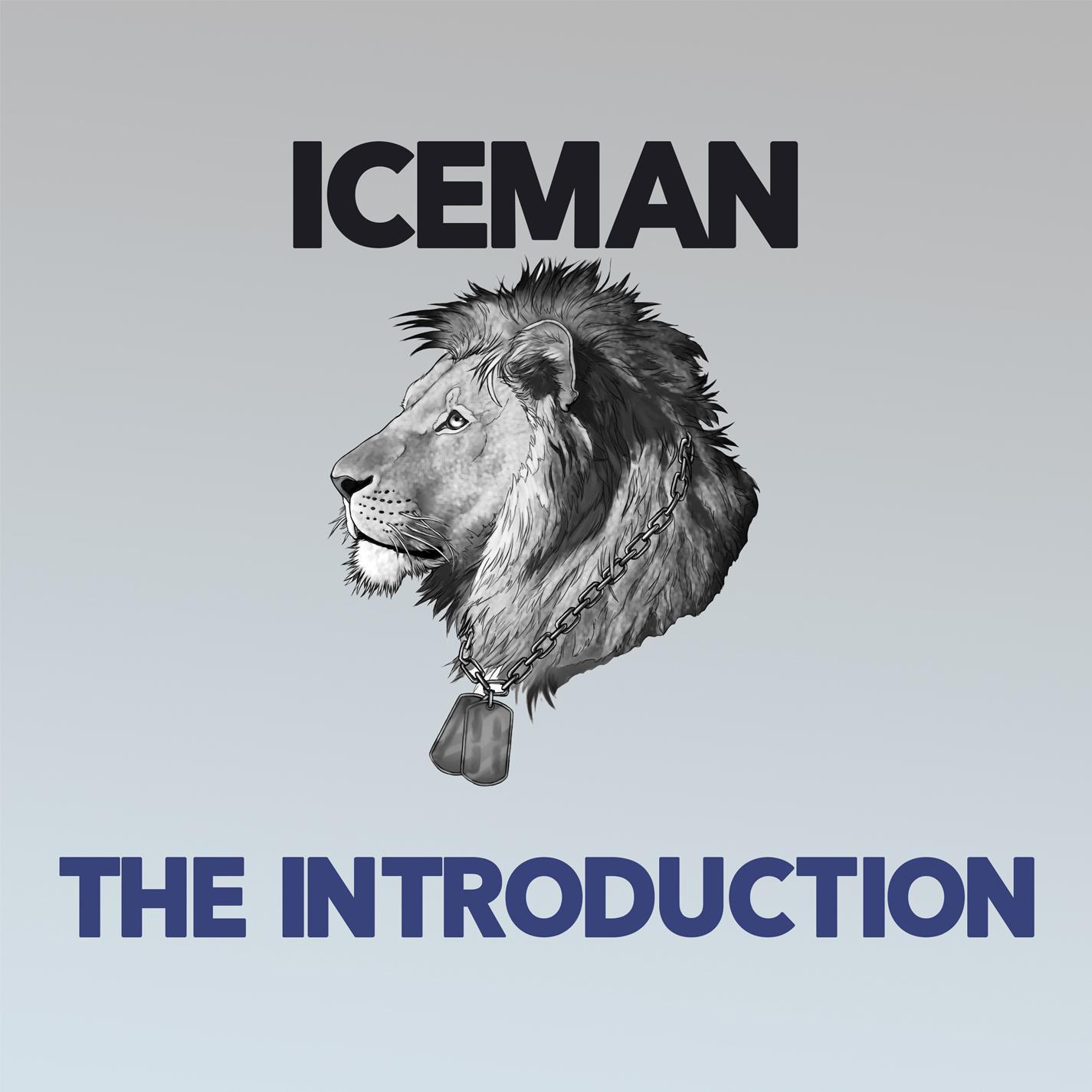 The Introduction