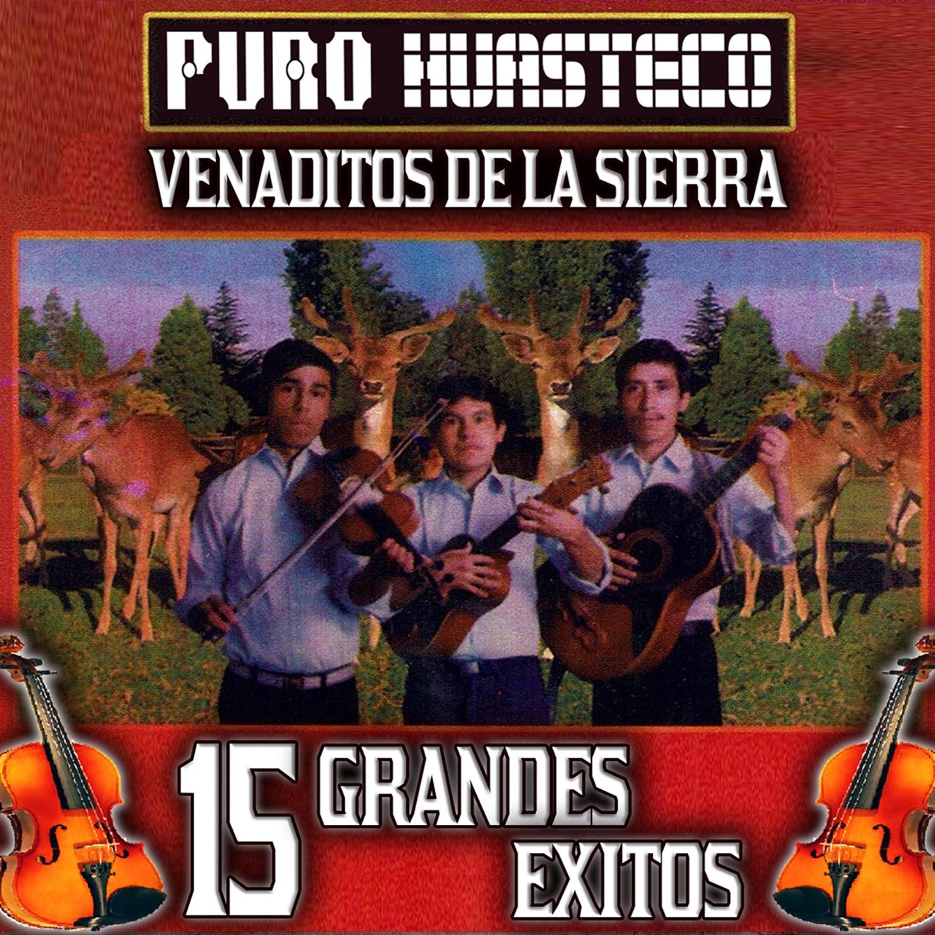 Puro Huasteco
