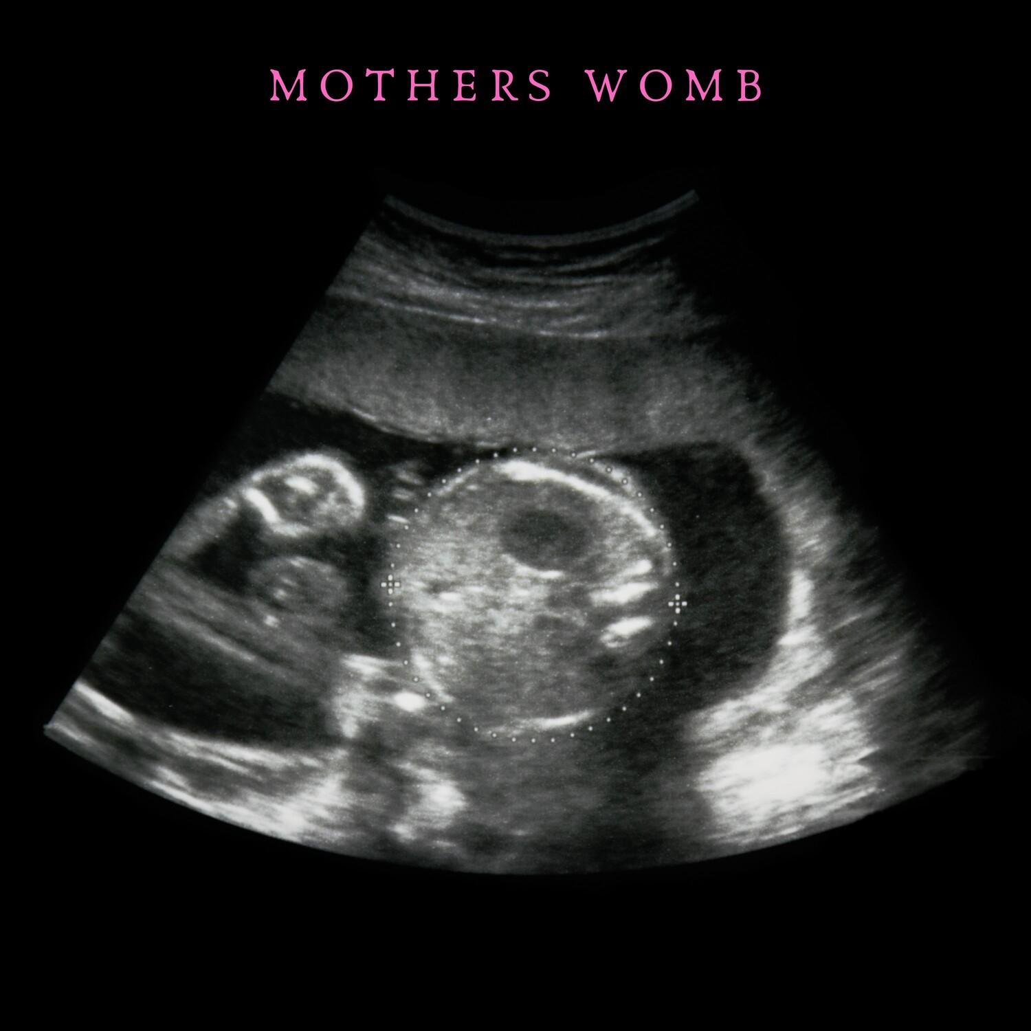 Womb Sounds