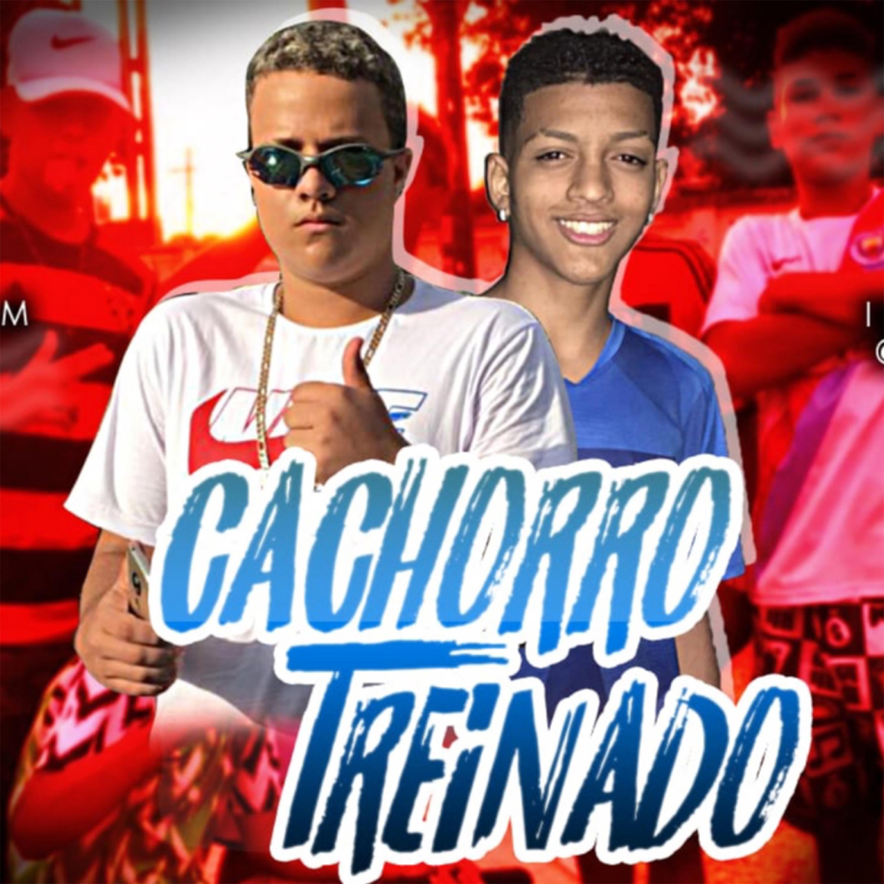 Cachorro Treinado