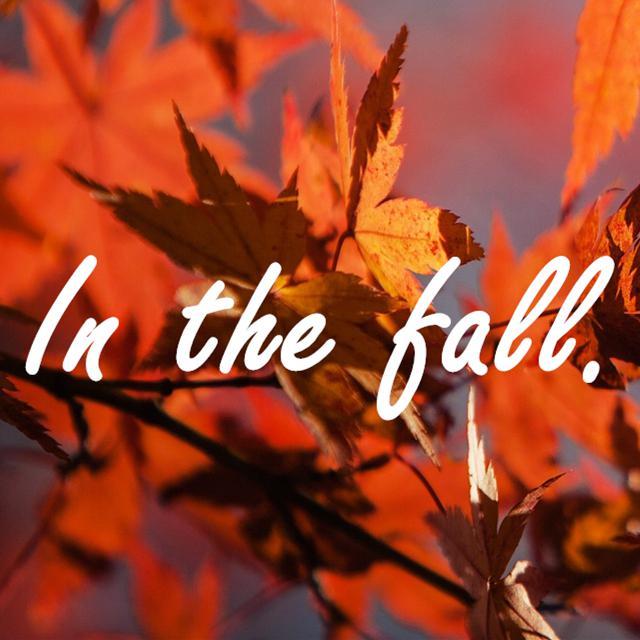 In the fall