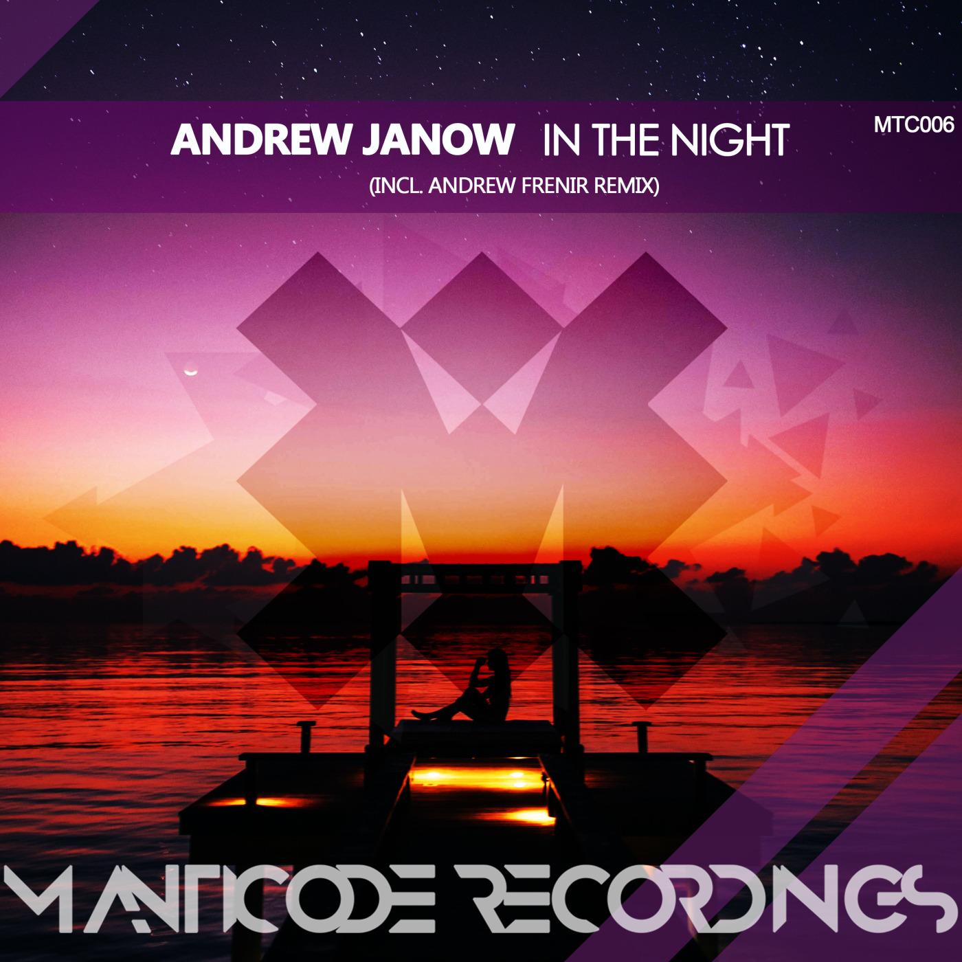 In the Night (Original Mix)