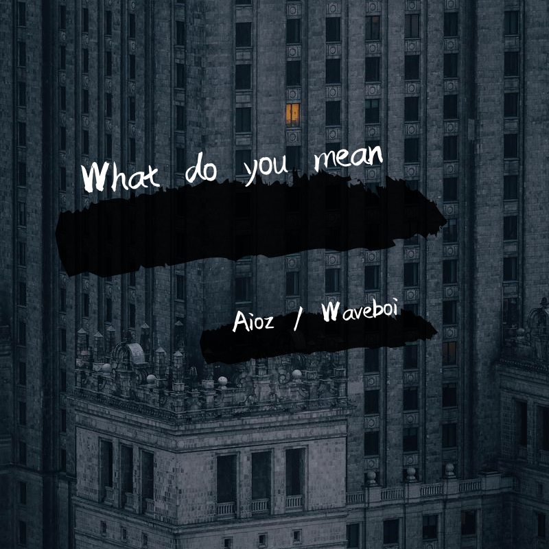 What do you mean