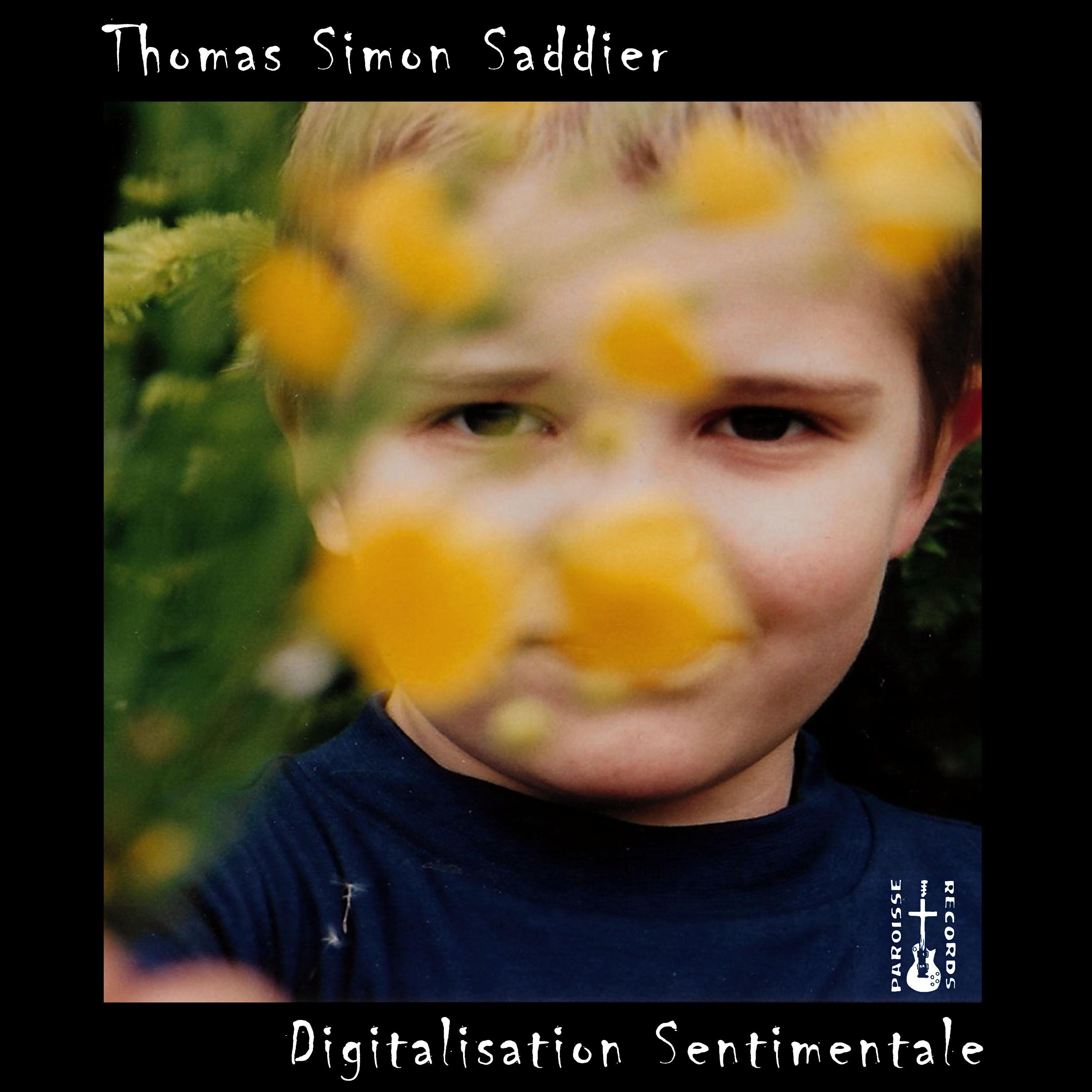 Digitalisation sentimentale