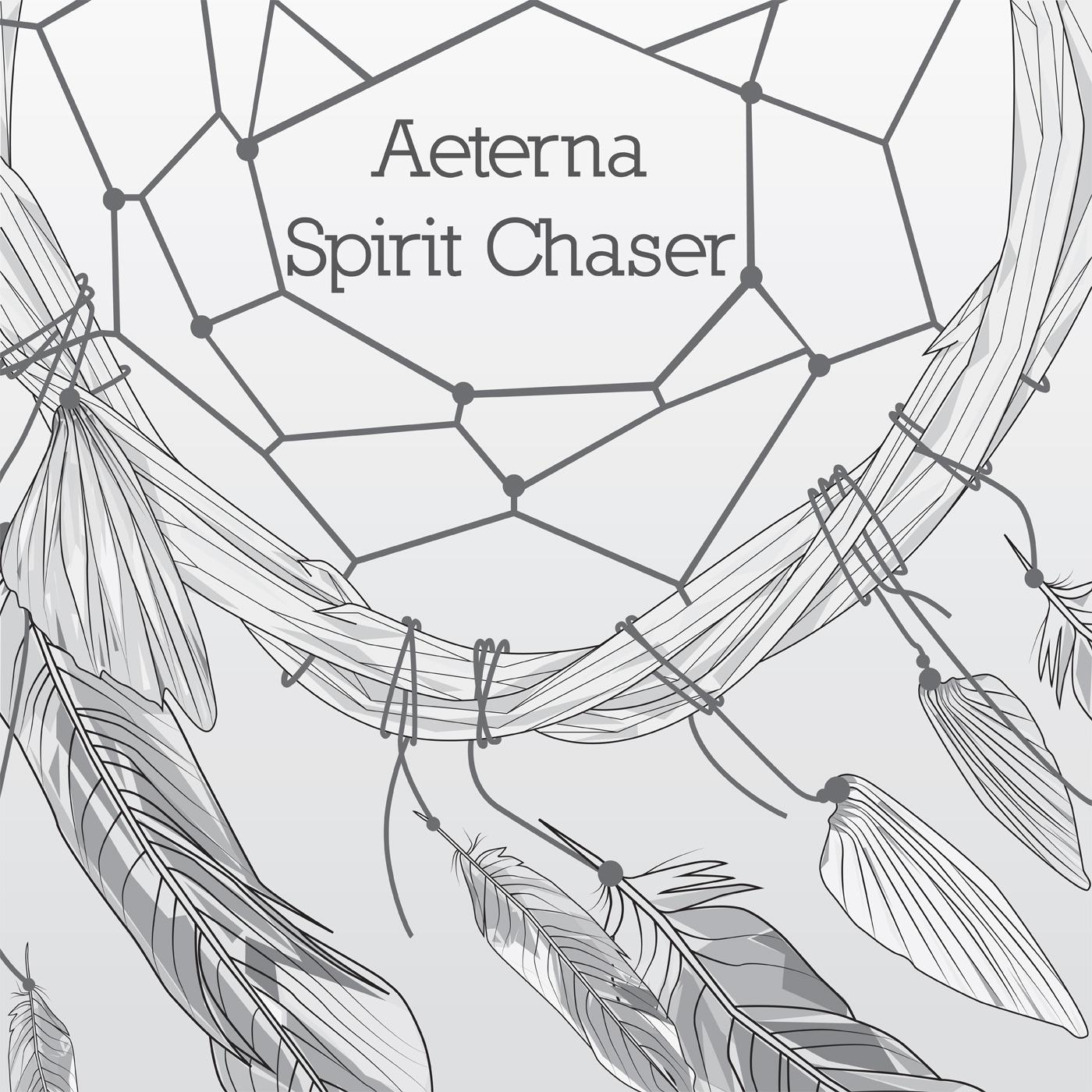 Spirit Chaser