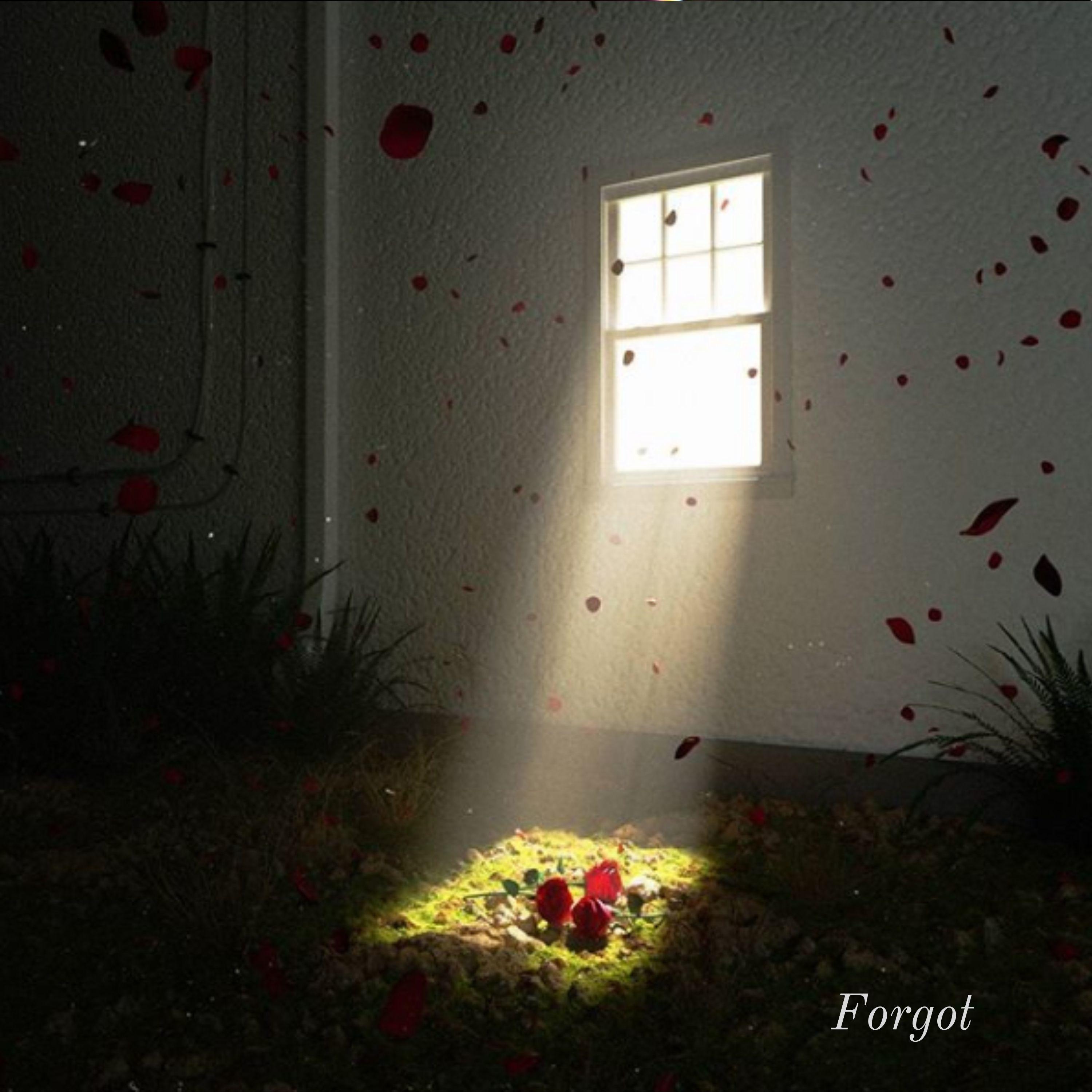 Forgot