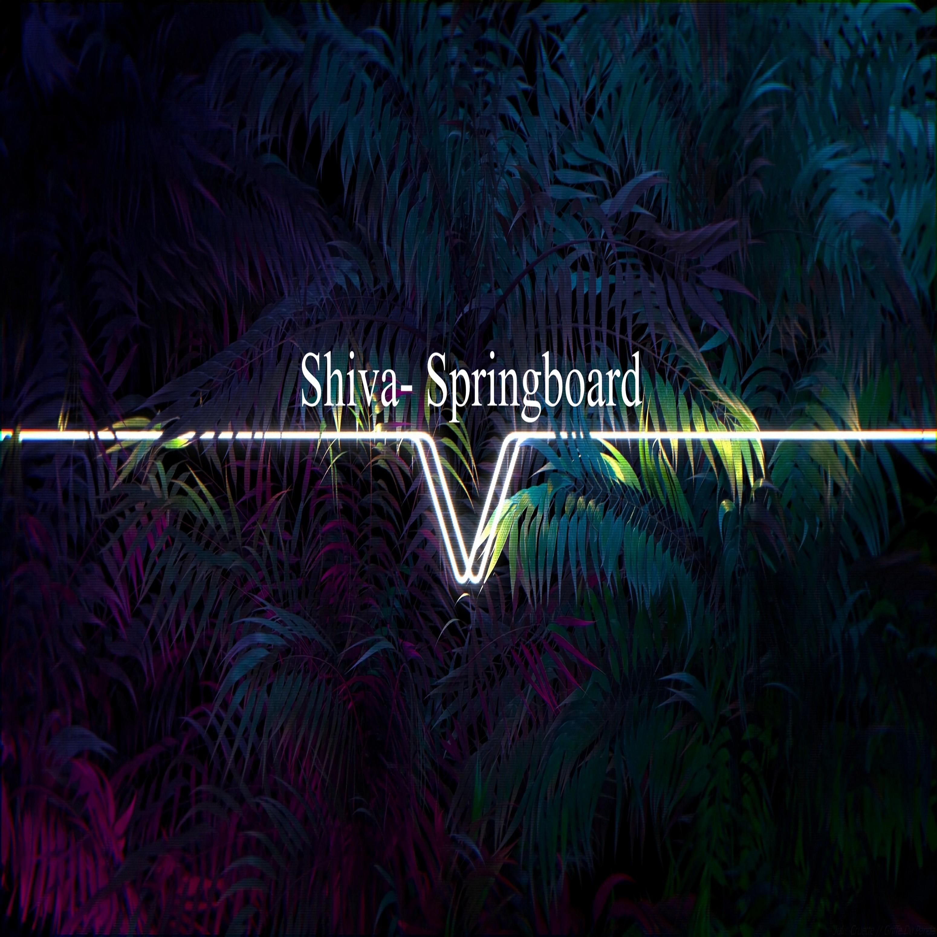 Springboard