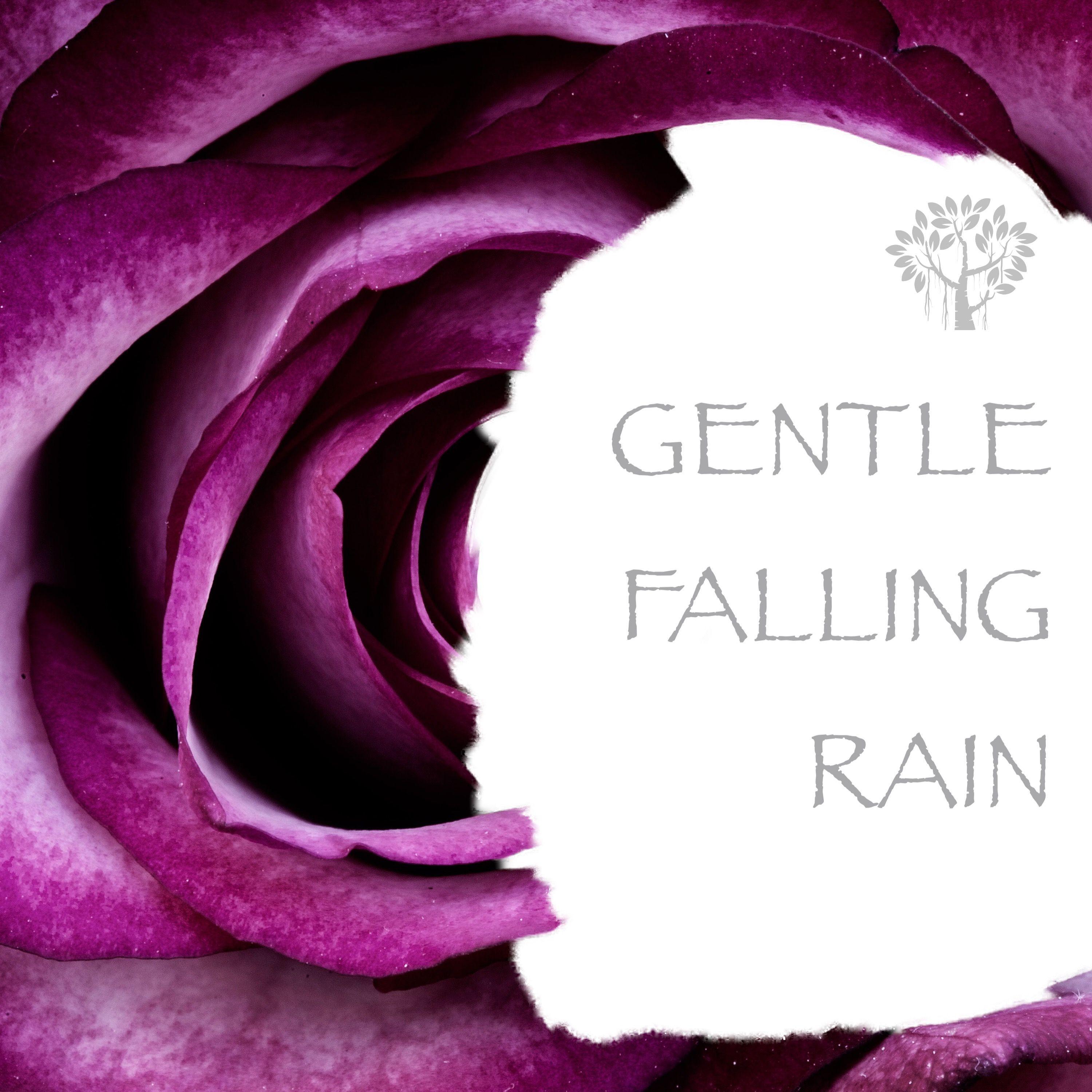 Gentle Falling Raing