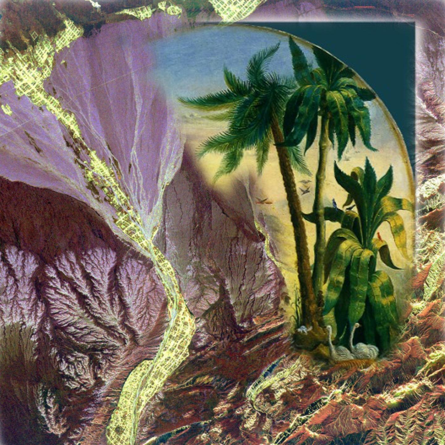 Jungle Exchange