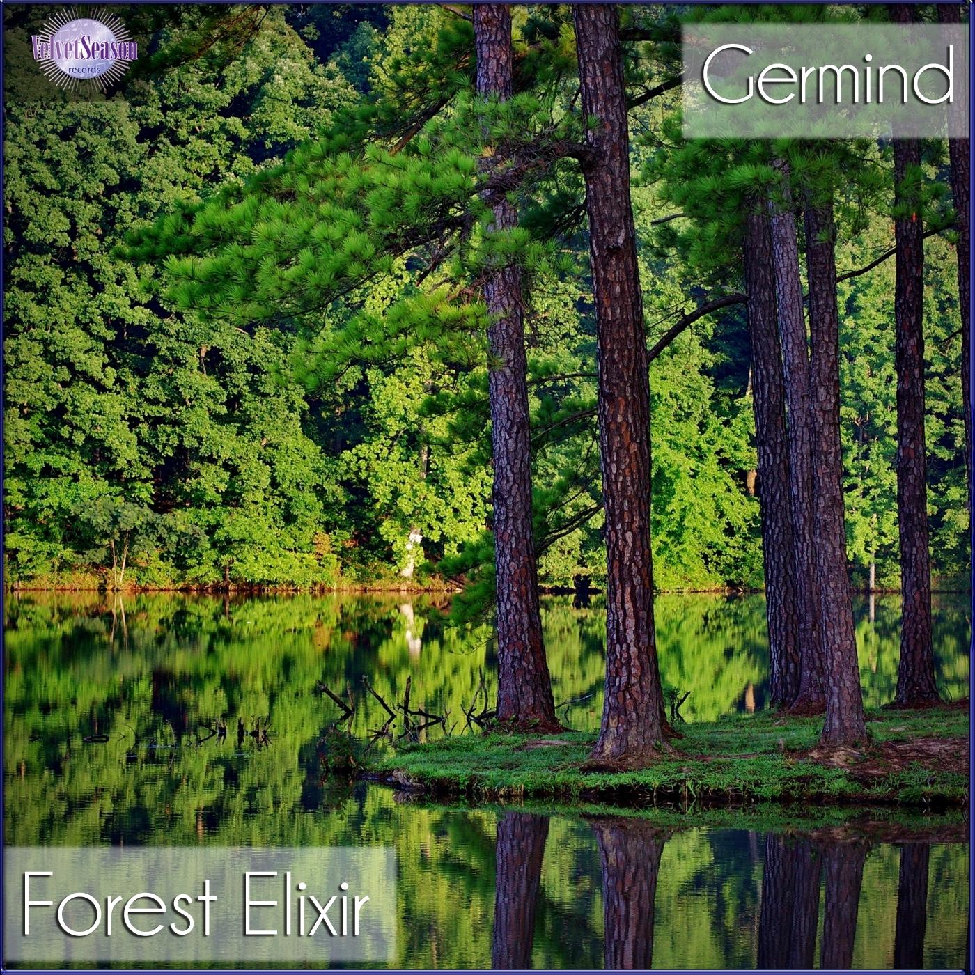 Forest Elixir