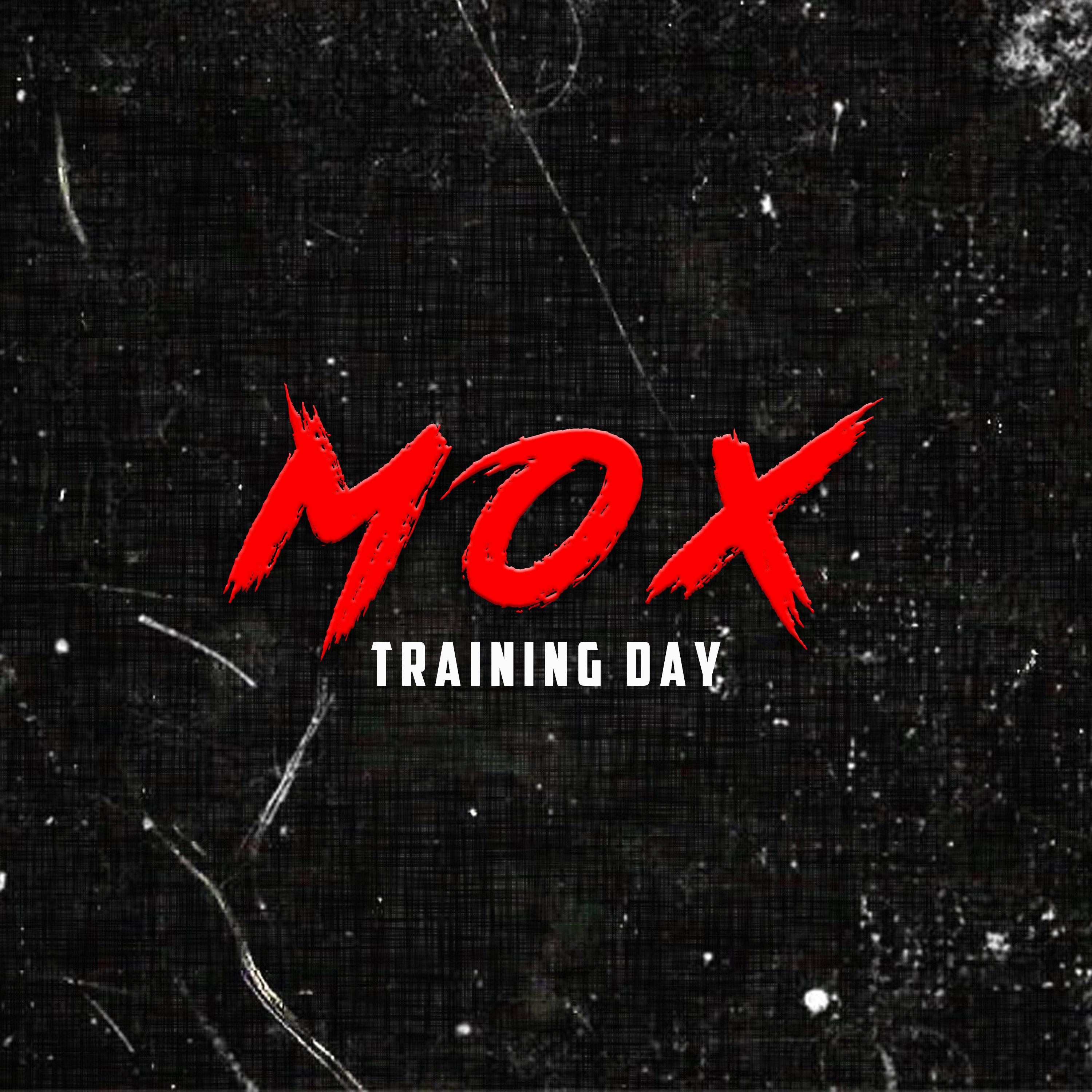 Training Day