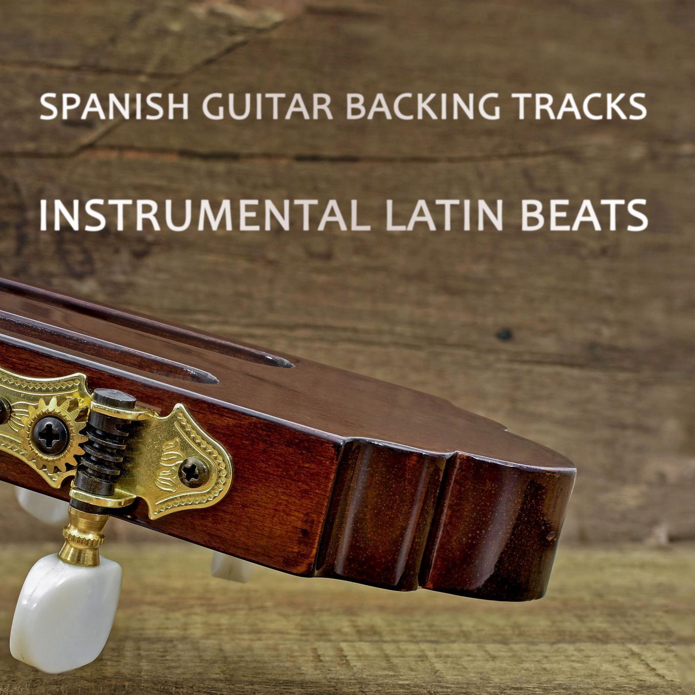 Spanish Rumba Guitar Instrumental Backing Track F# minor