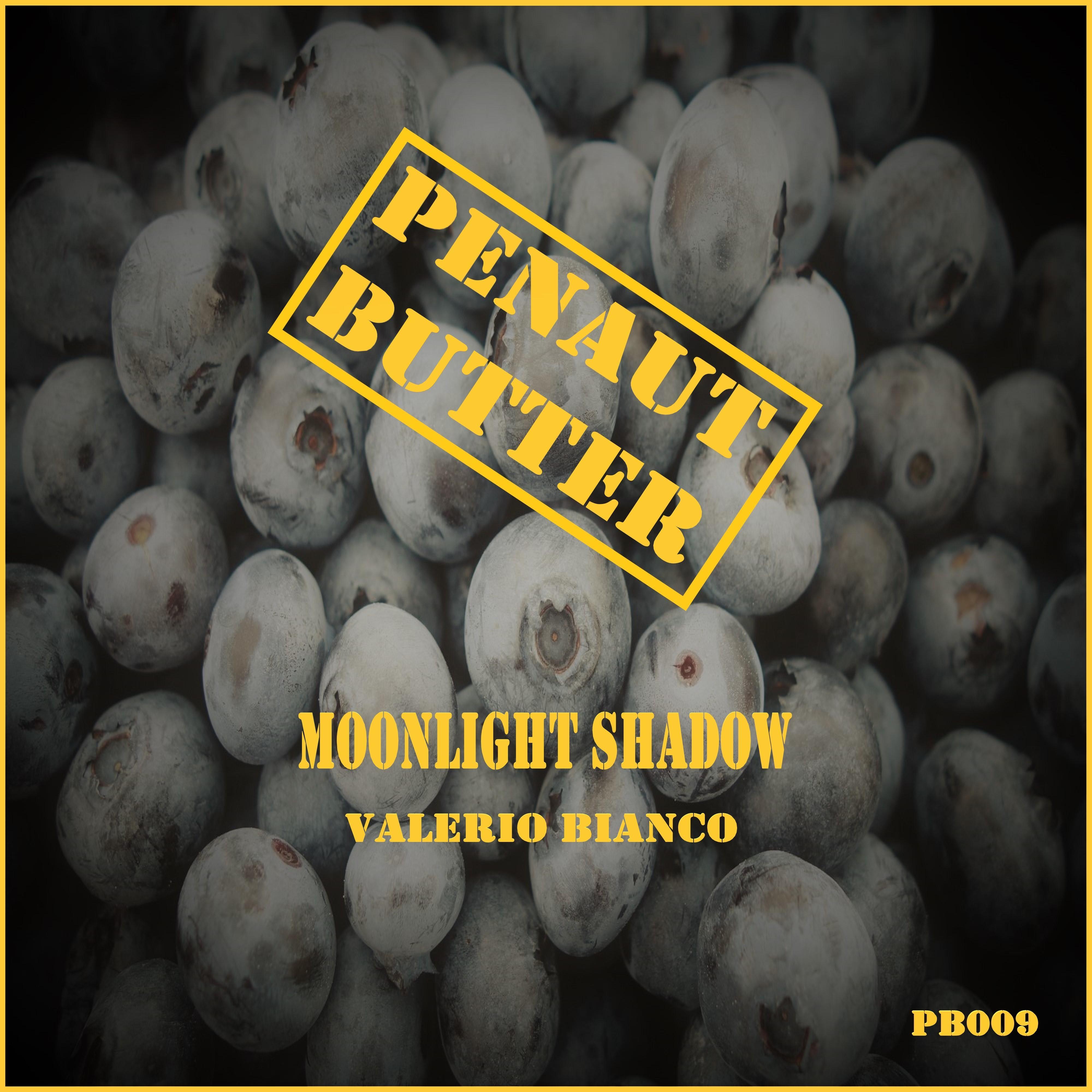 Moonlight Shadow
