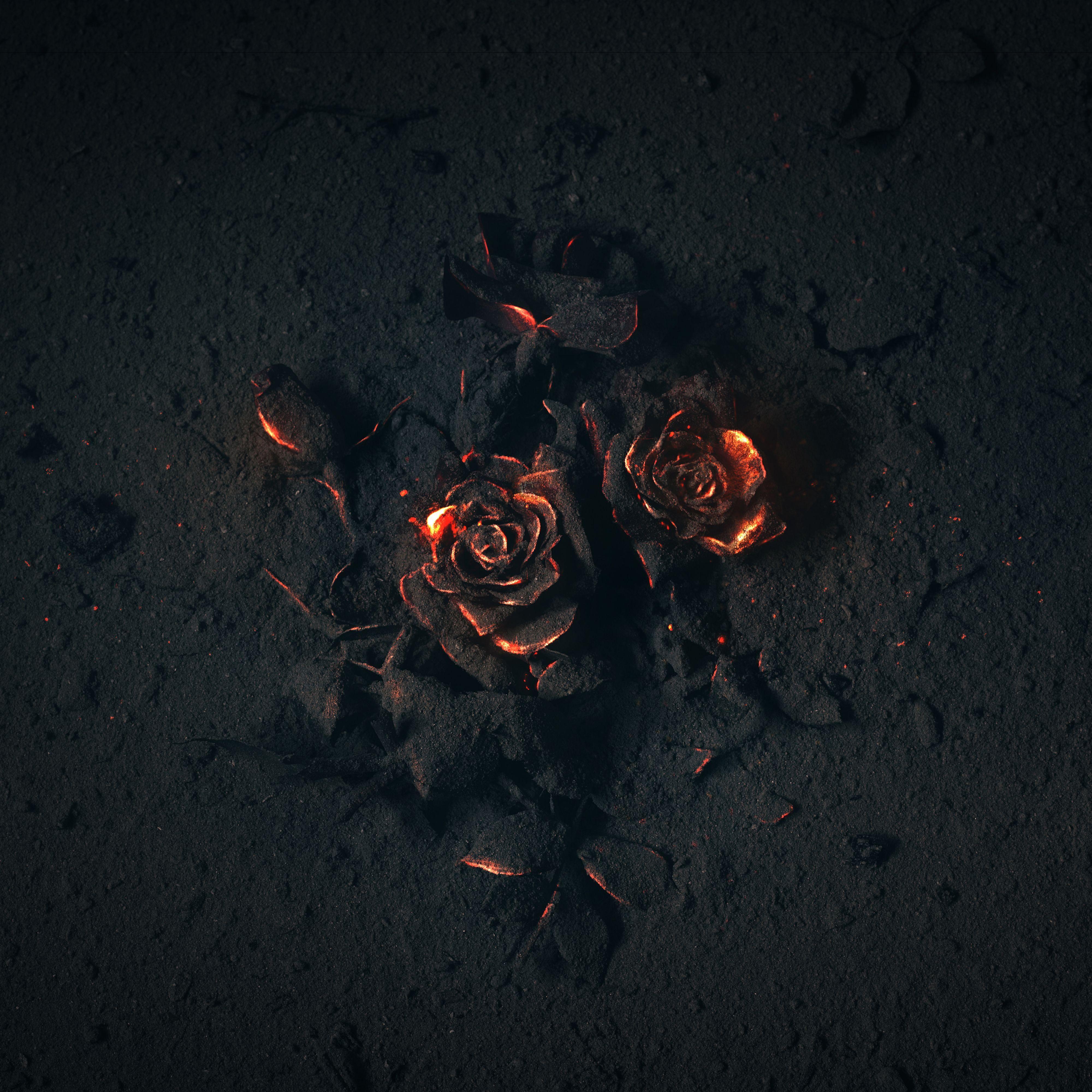 From Ashes