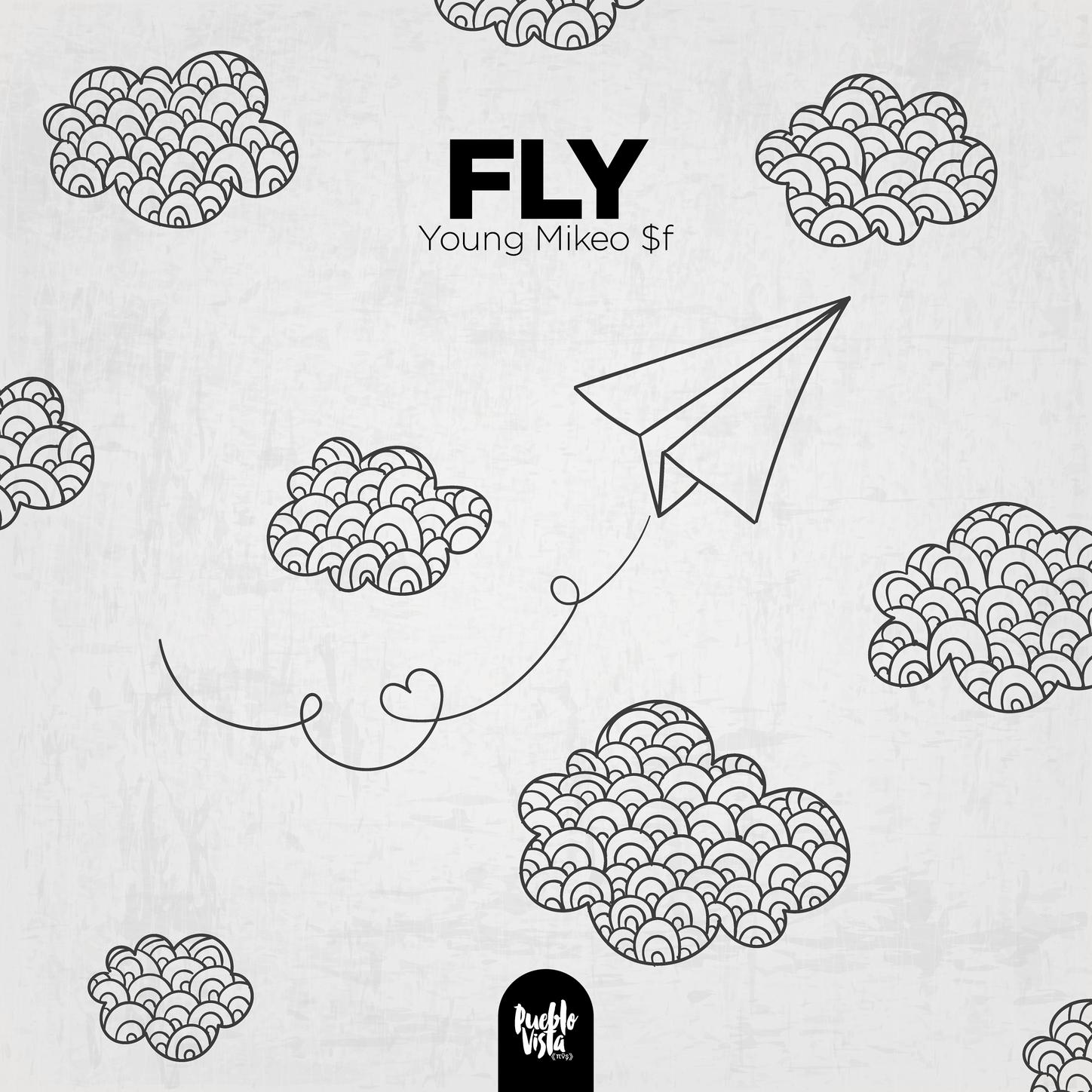 Fly