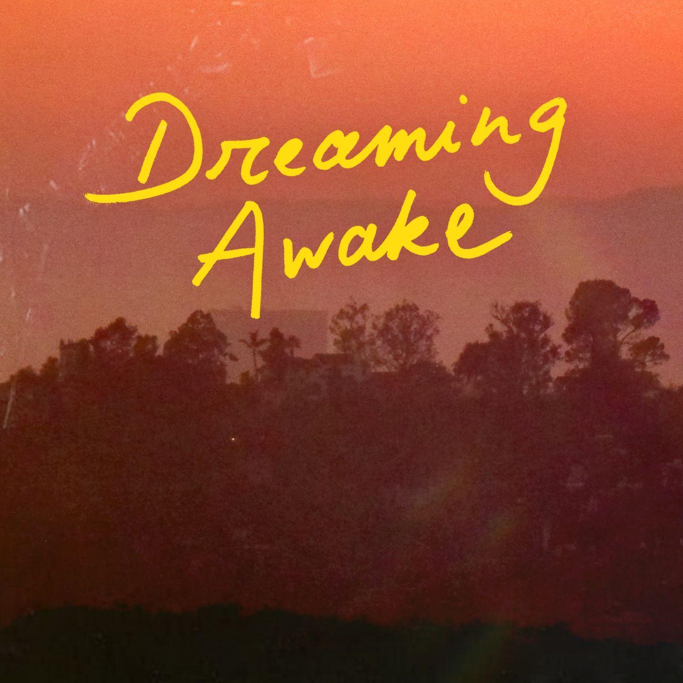 Dreaming Awake