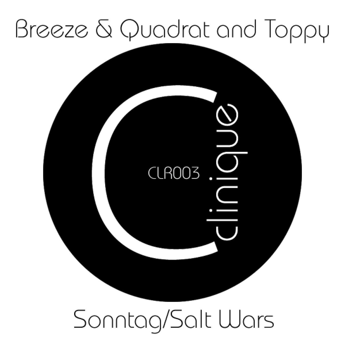 Salt Wars