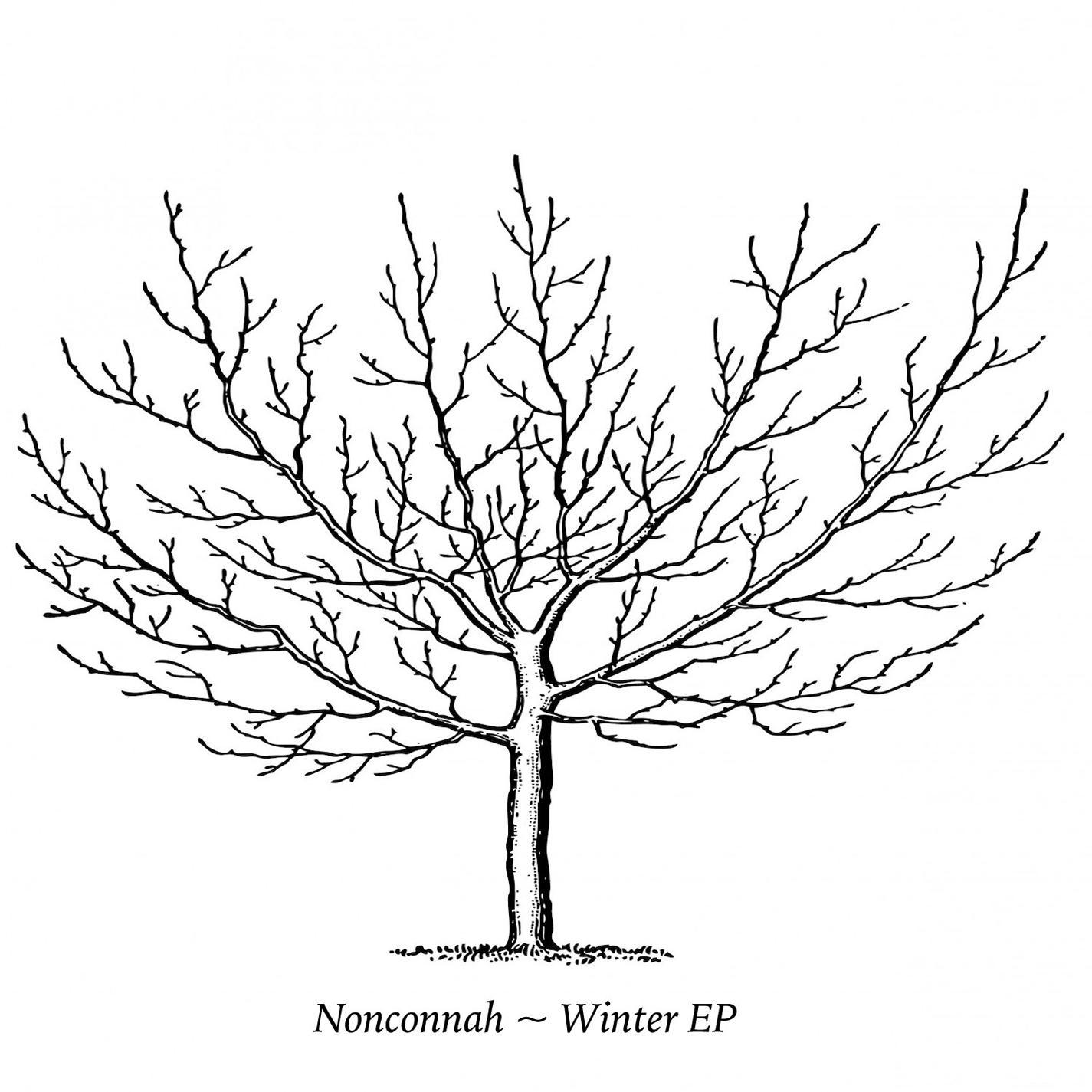 Snowplows