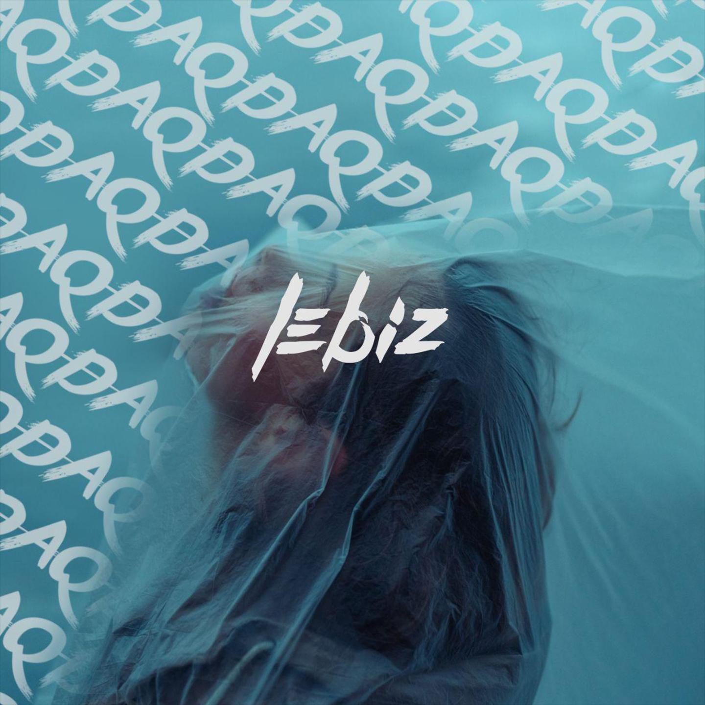 Lebiz
