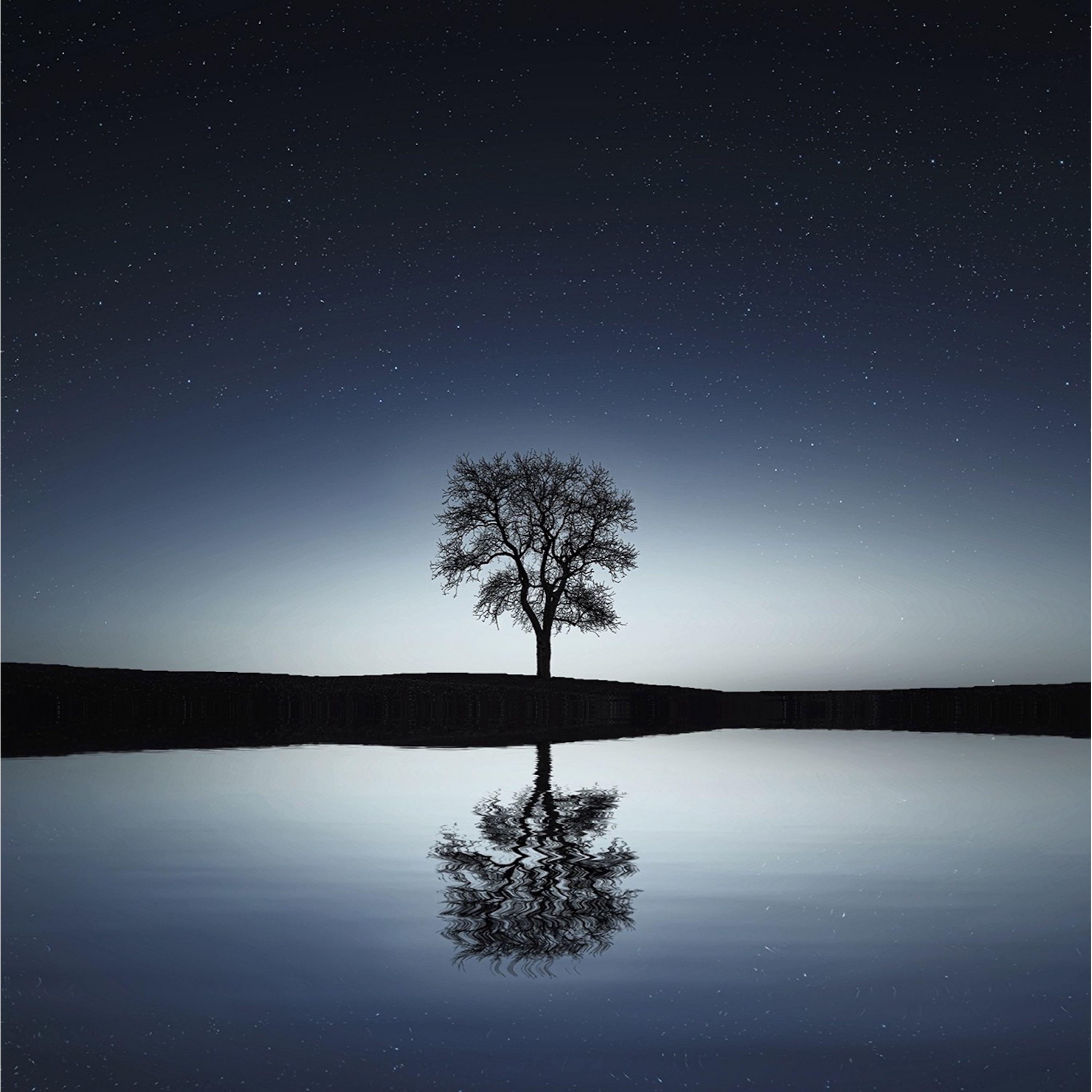 Relaxed Background Music