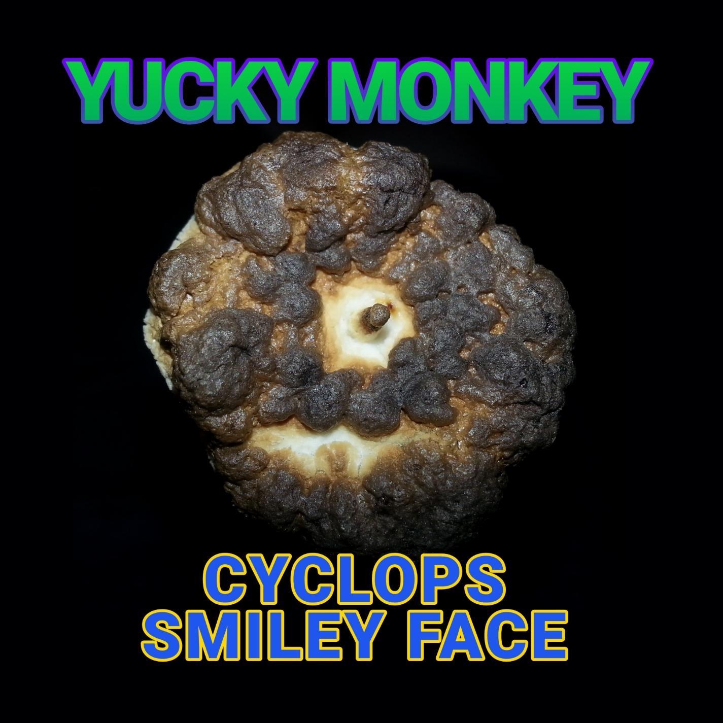 Cyclops Smiley Face