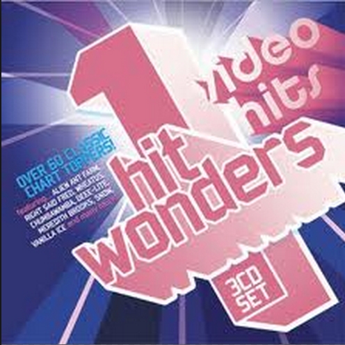 Video Hits - One Hit Wonders