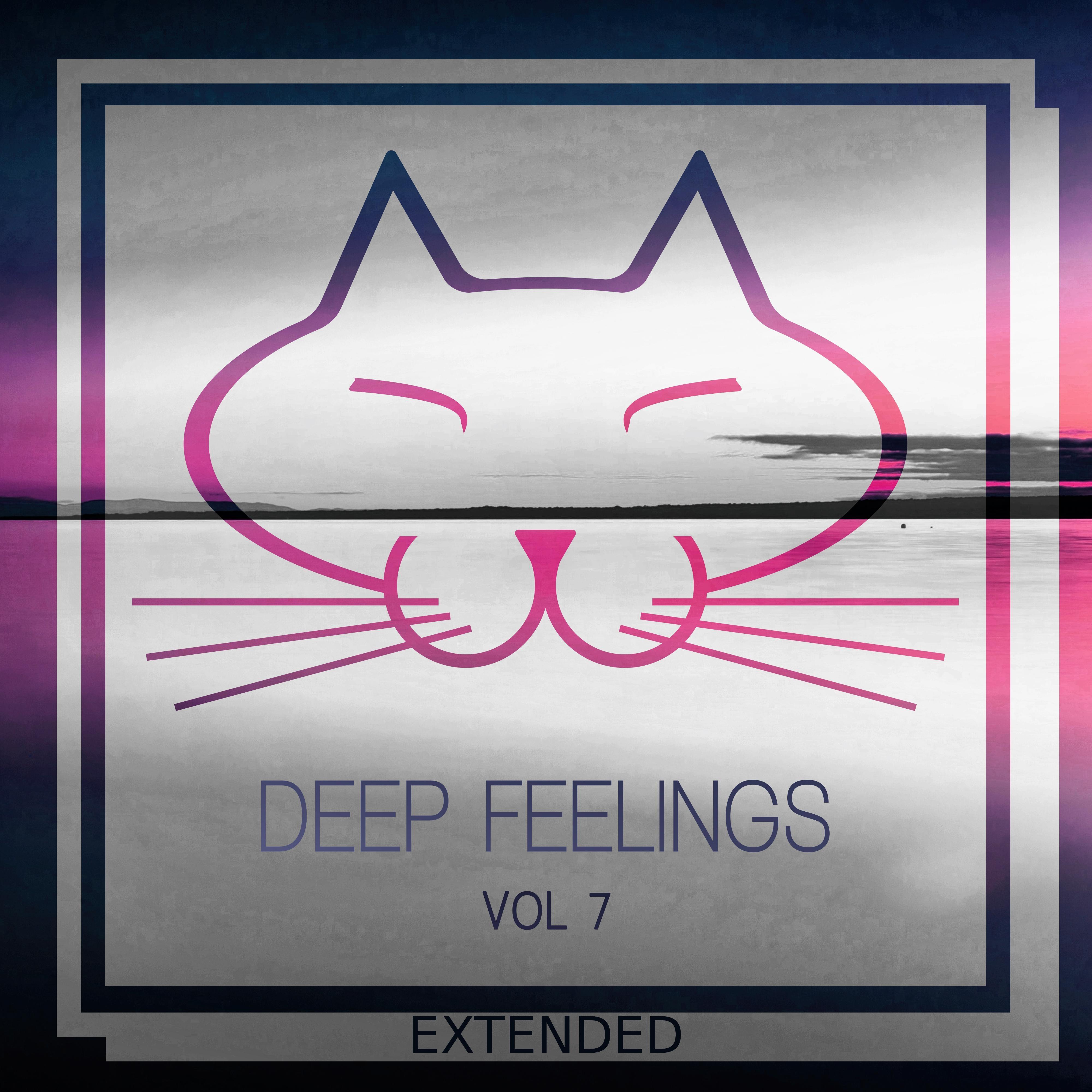 Deep Feelings, Vol. 7 (Extended)