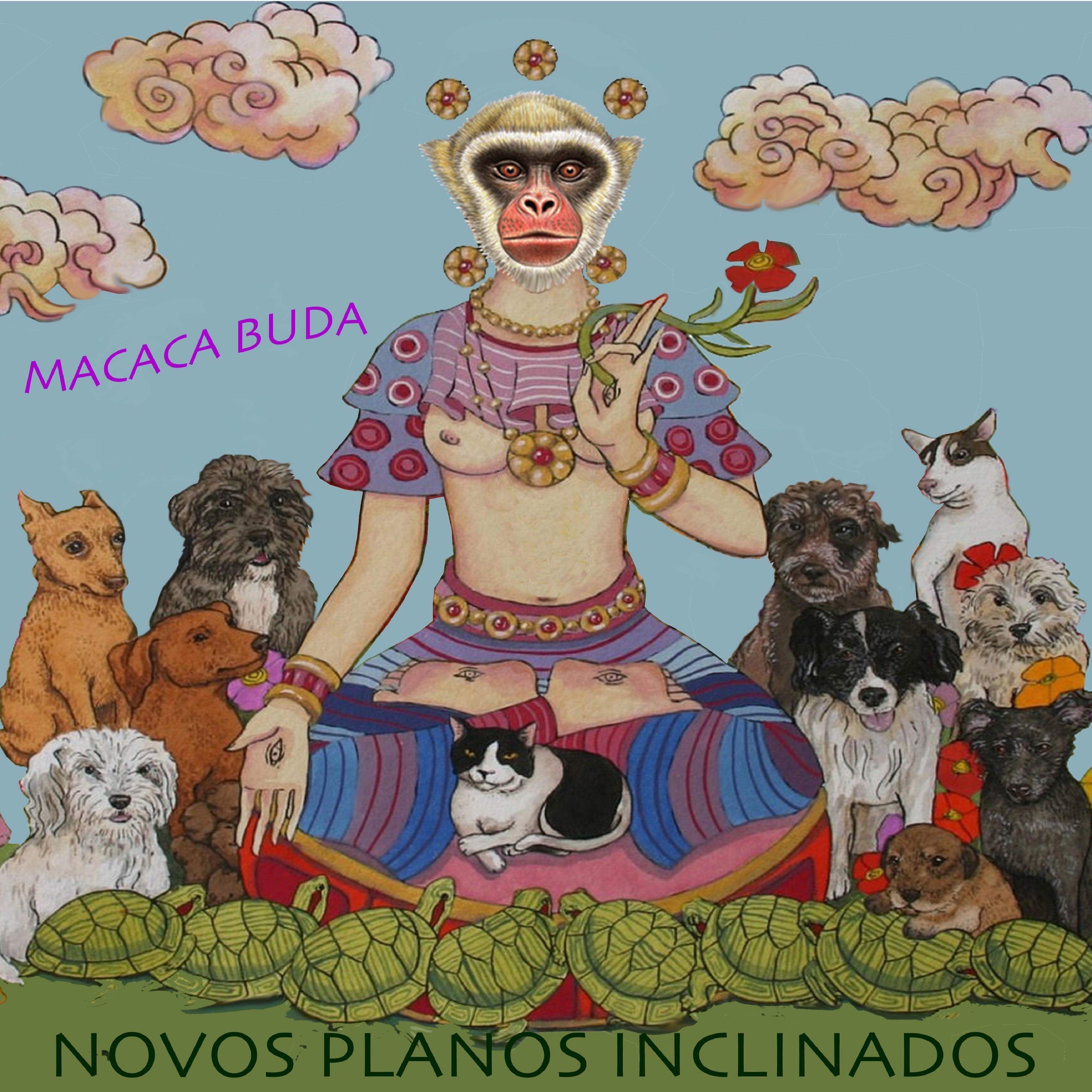 Macaca Buda